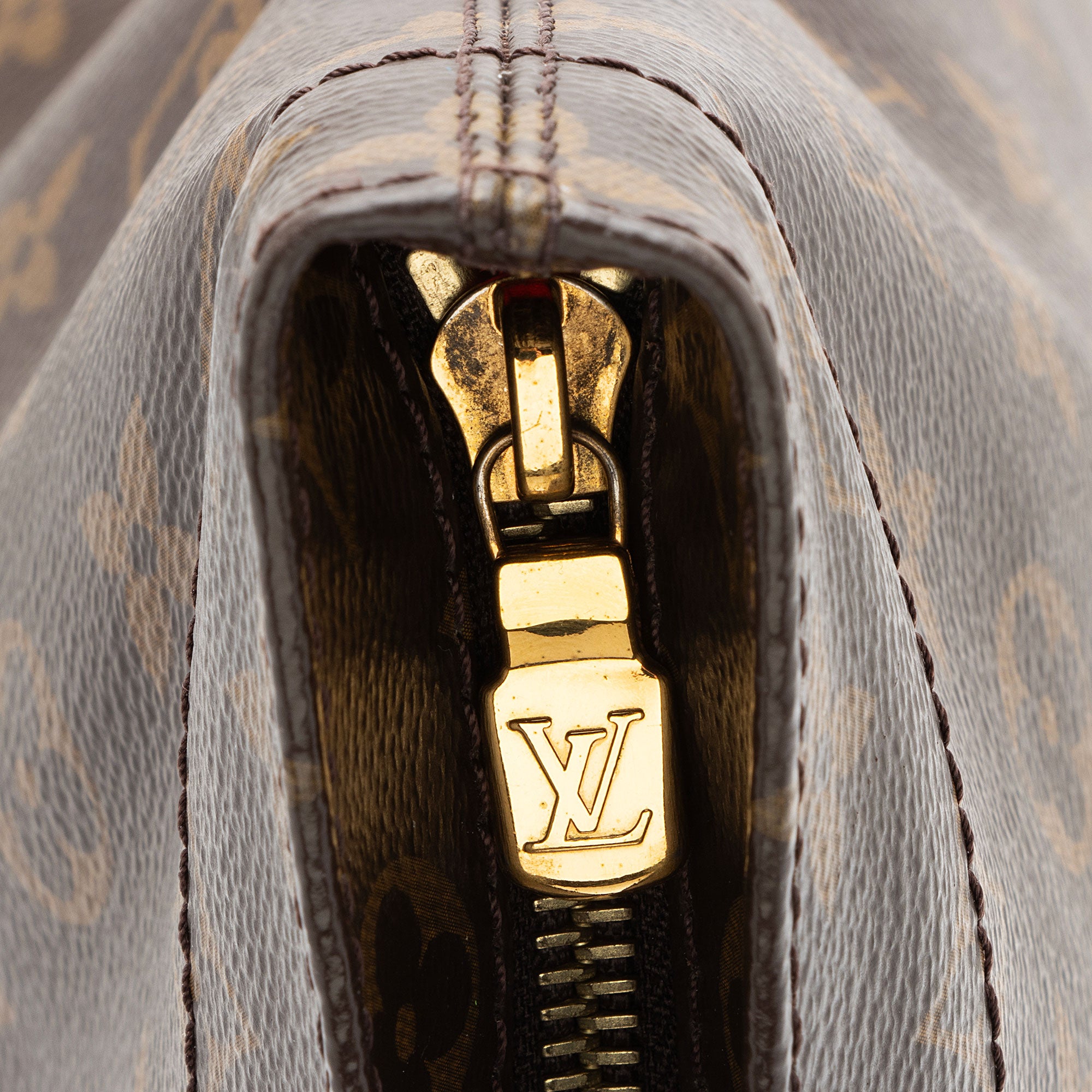 Louis Vuitton Monogram Canvas Carry It Tote