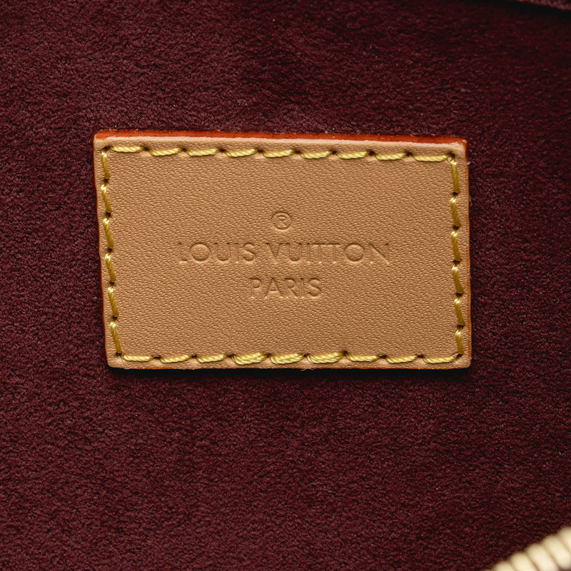 Louis Vuitton Monogram Canvas CarryAll MM Pochette (SHF-Gj14ZU