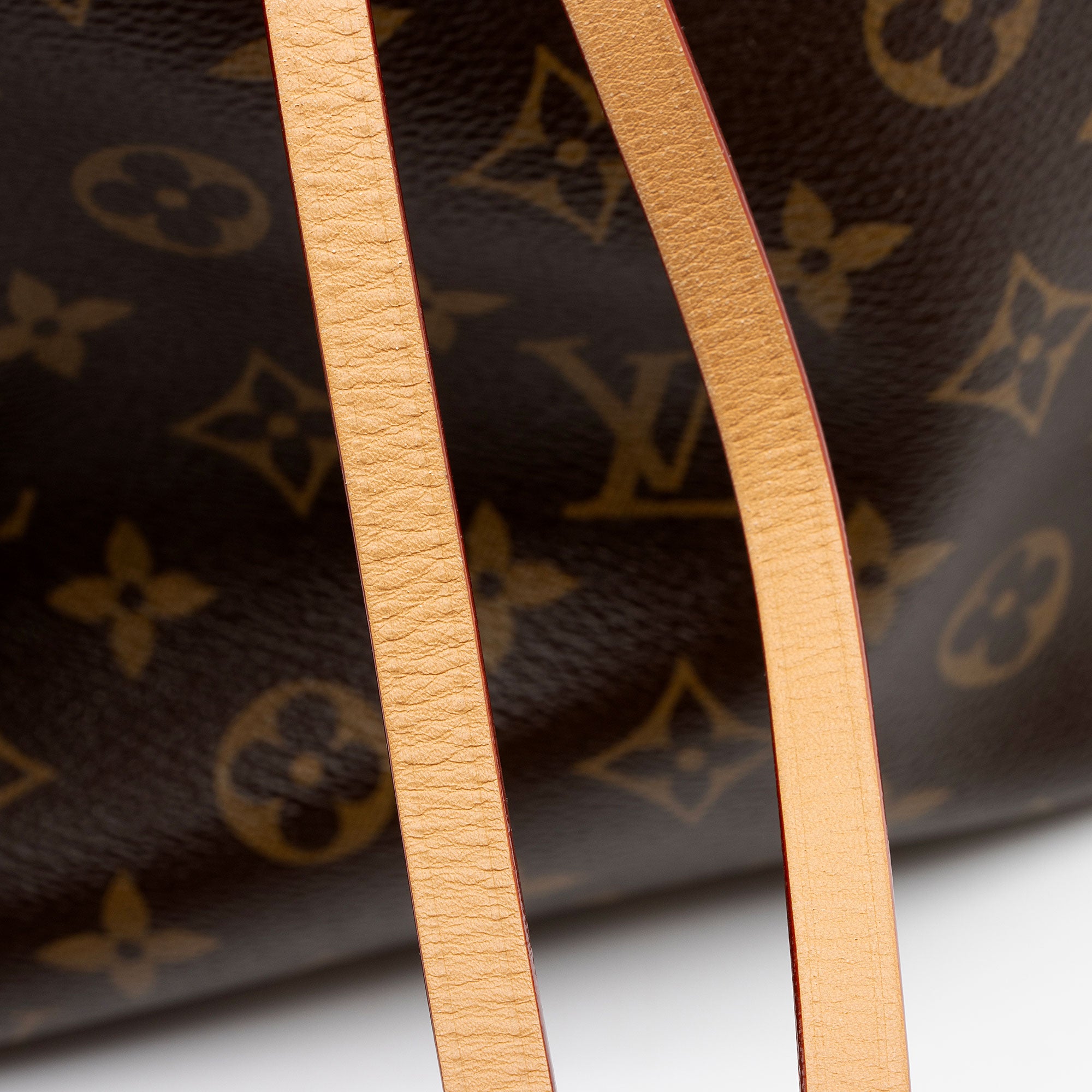 Louis Vuitton Monogram Canvas CarryAll PM Shoulder Bag