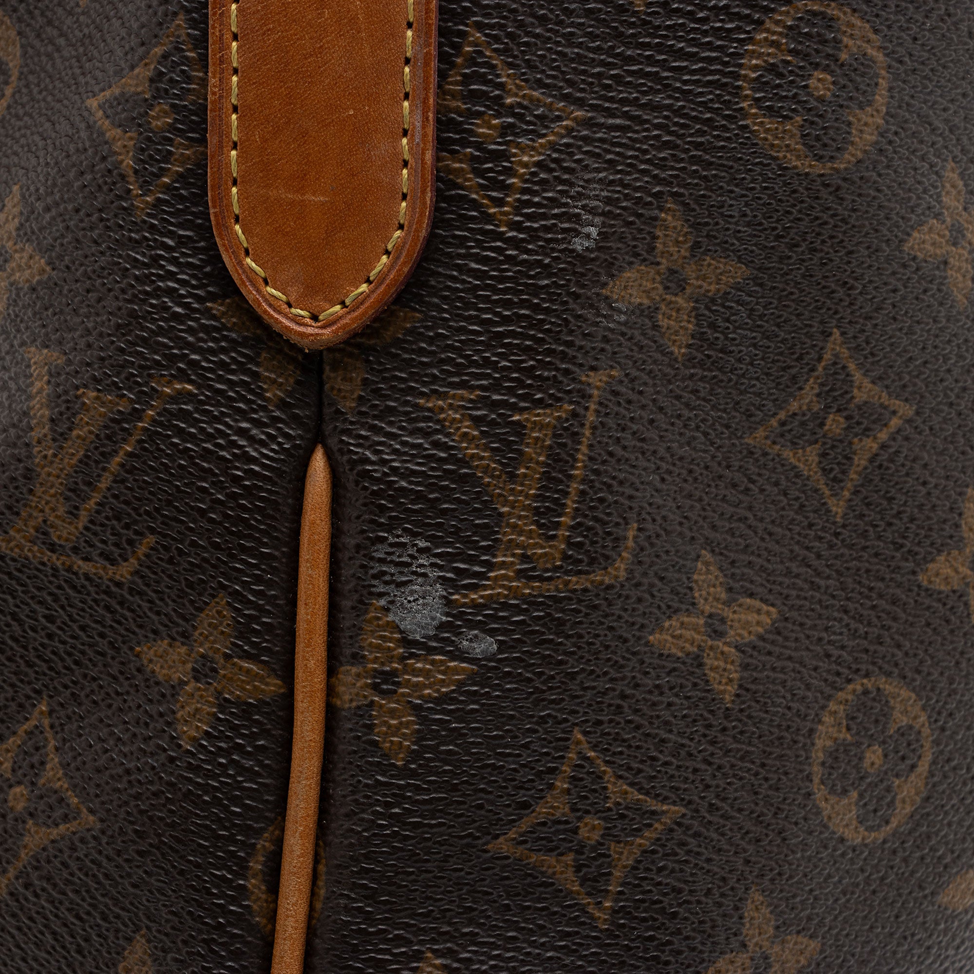 Louis Vuitton Monogram Canvas Delightful GM Shoulder Bag (SHF-vimQ1R)