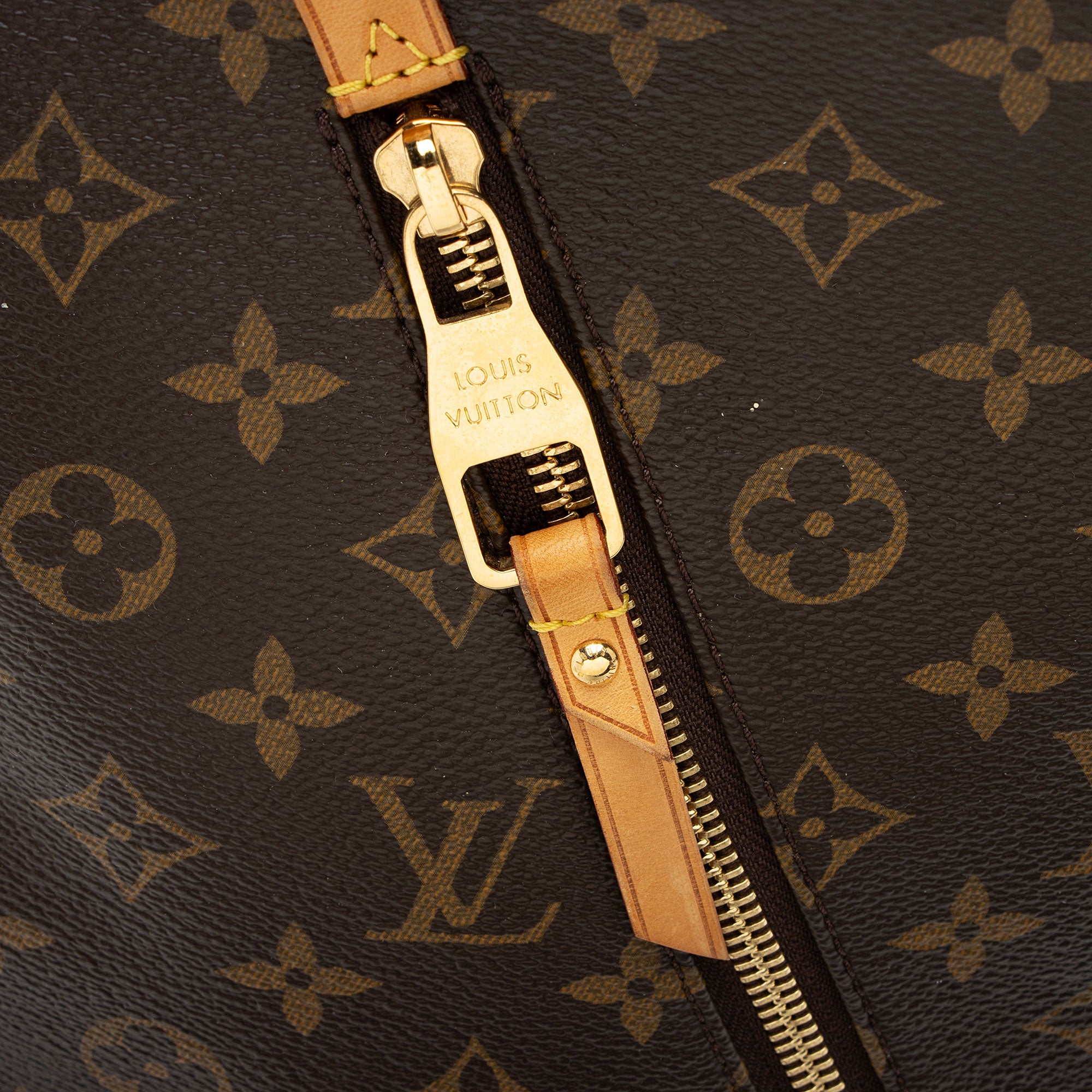 Louis Vuitton Monogram Canvas Delightful GM Shoulder Bag