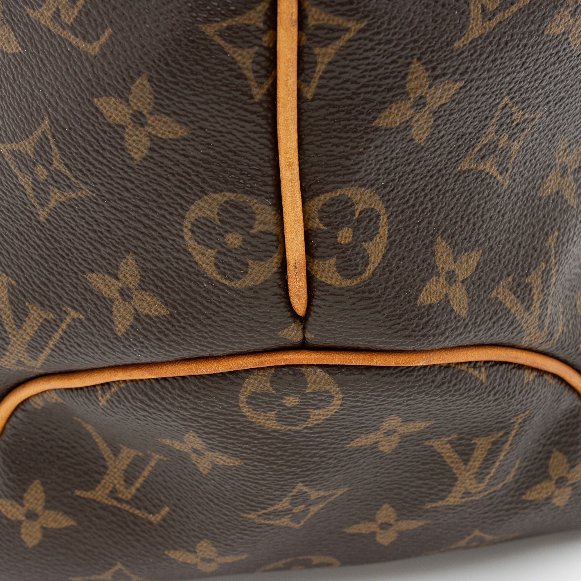 Louis Vuitton Monogram Canvas Delightful GM Shoulder Bag