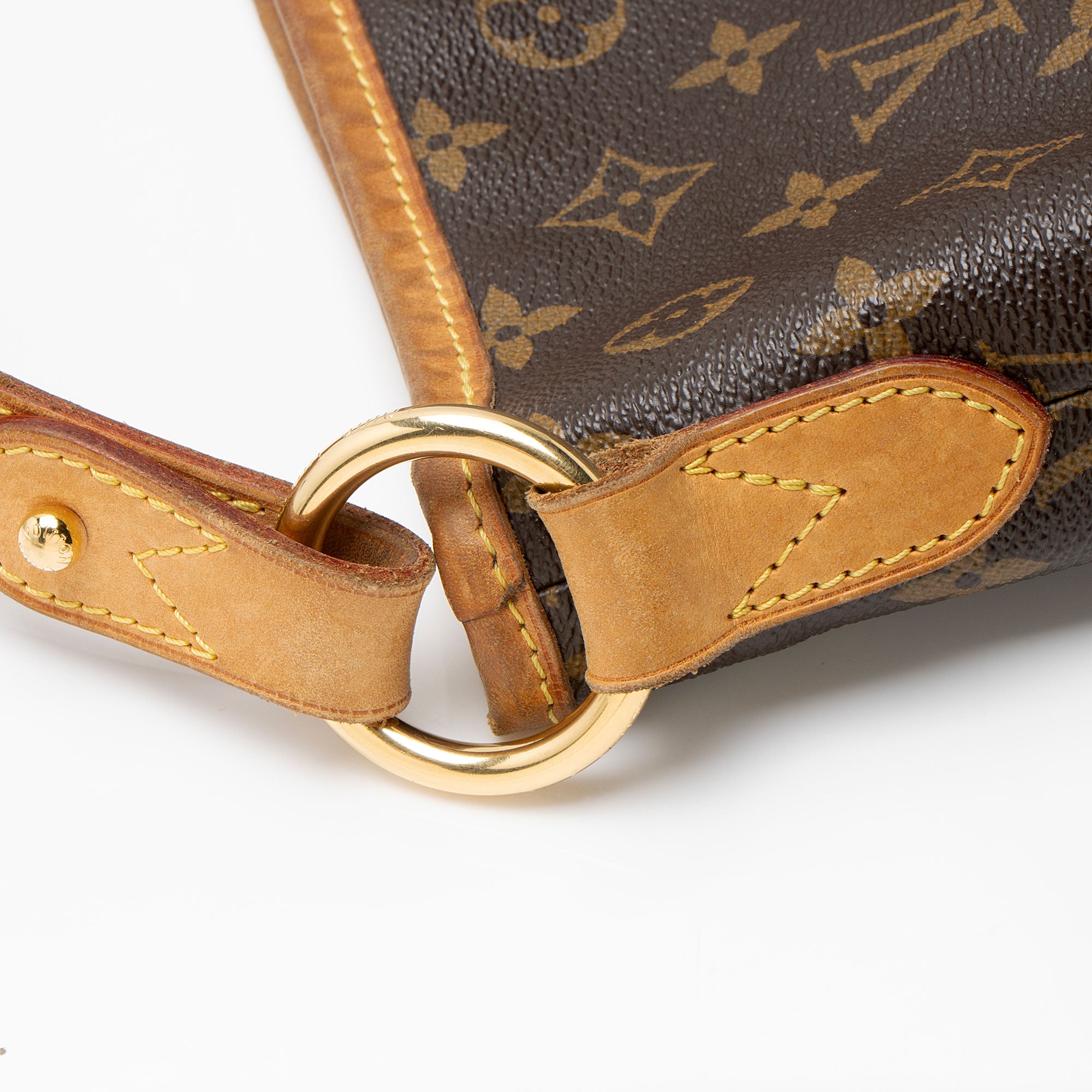 Louis Vuitton Monogram Canvas Delightful MM Shoulder Bag