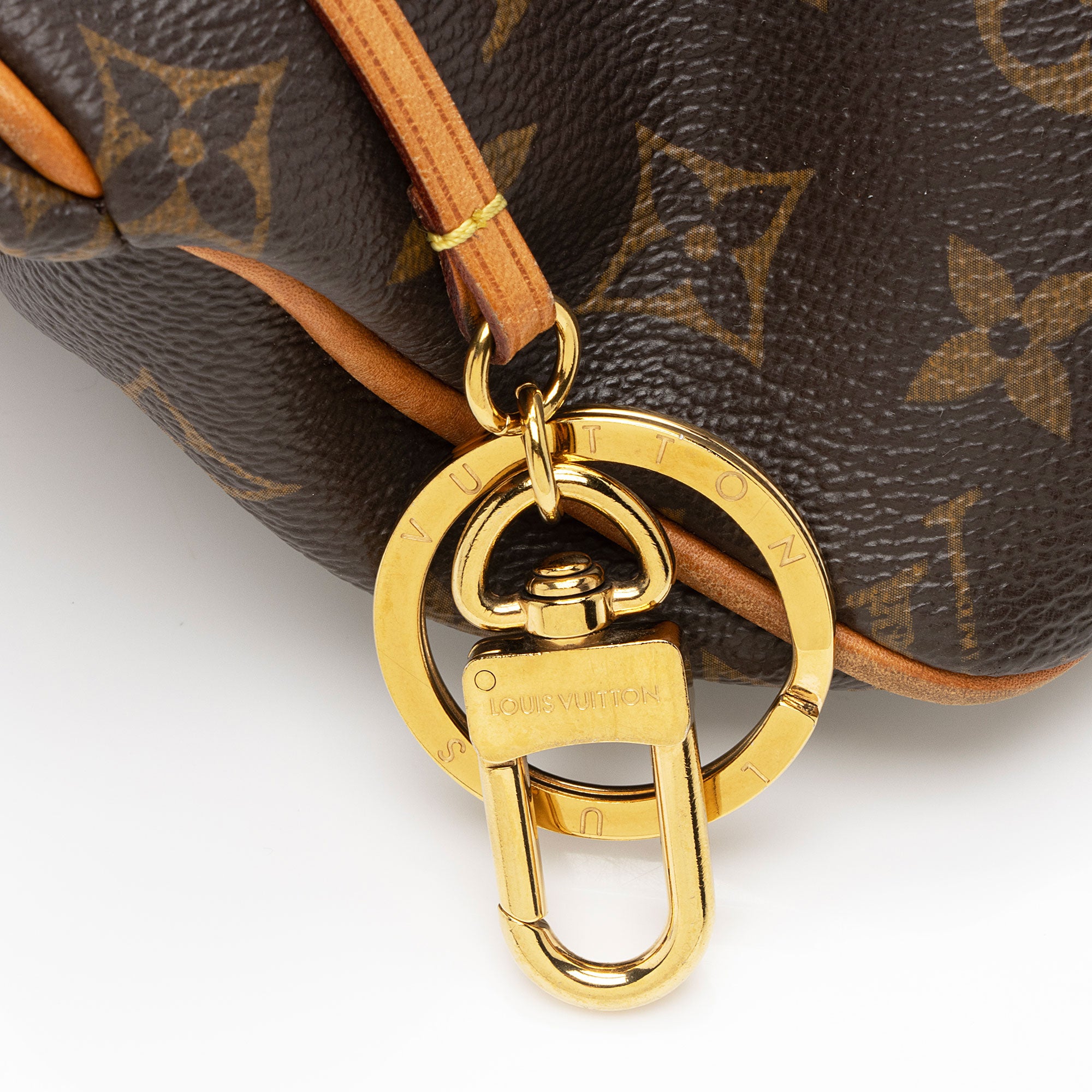 Louis Vuitton Monogram Canvas Delightful PM Shoulder Bag (SHF-ZZzG6J)