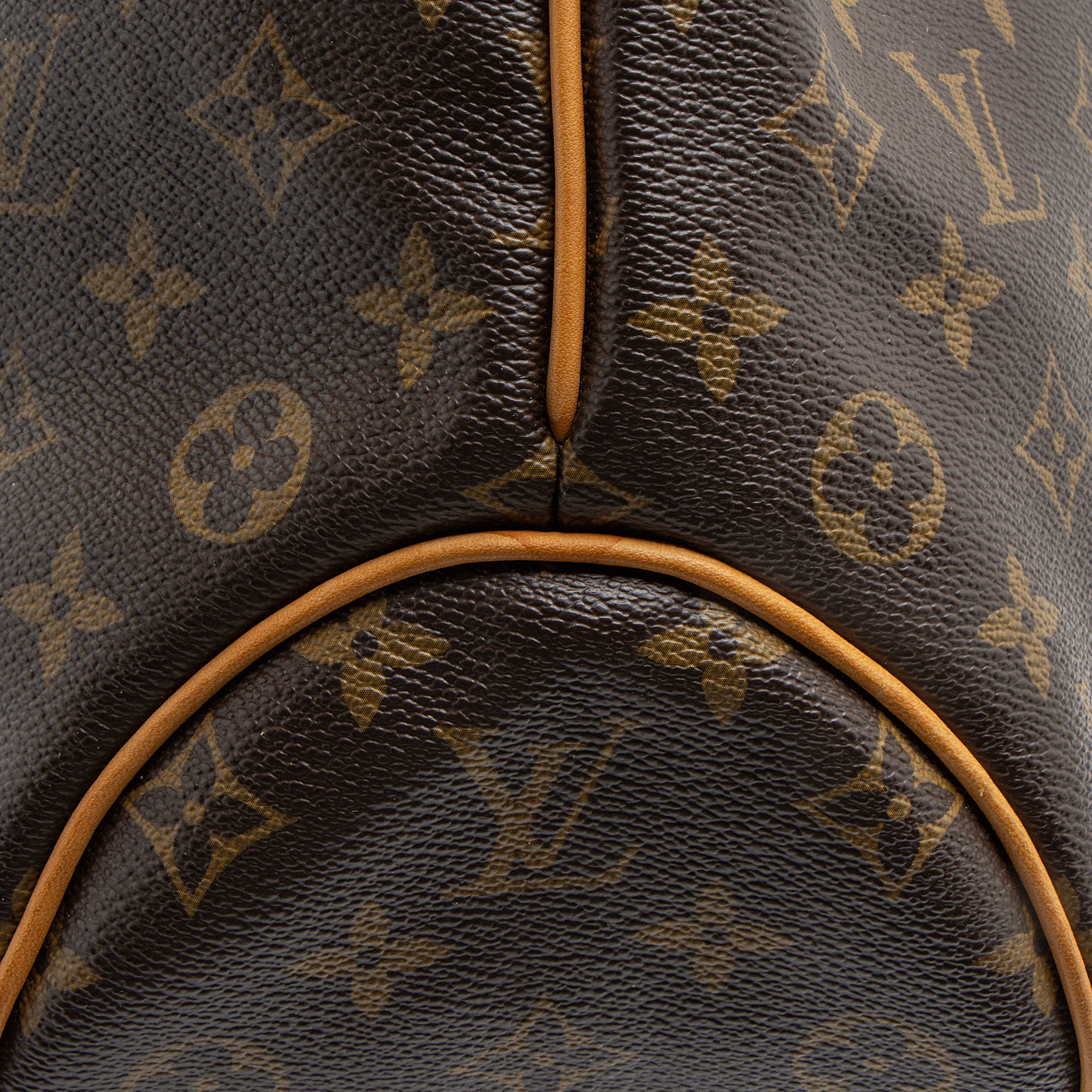 Louis Vuitton Monogram Canvas Delightful PM Shoulder Bag (SHF-Gn5Wwb)