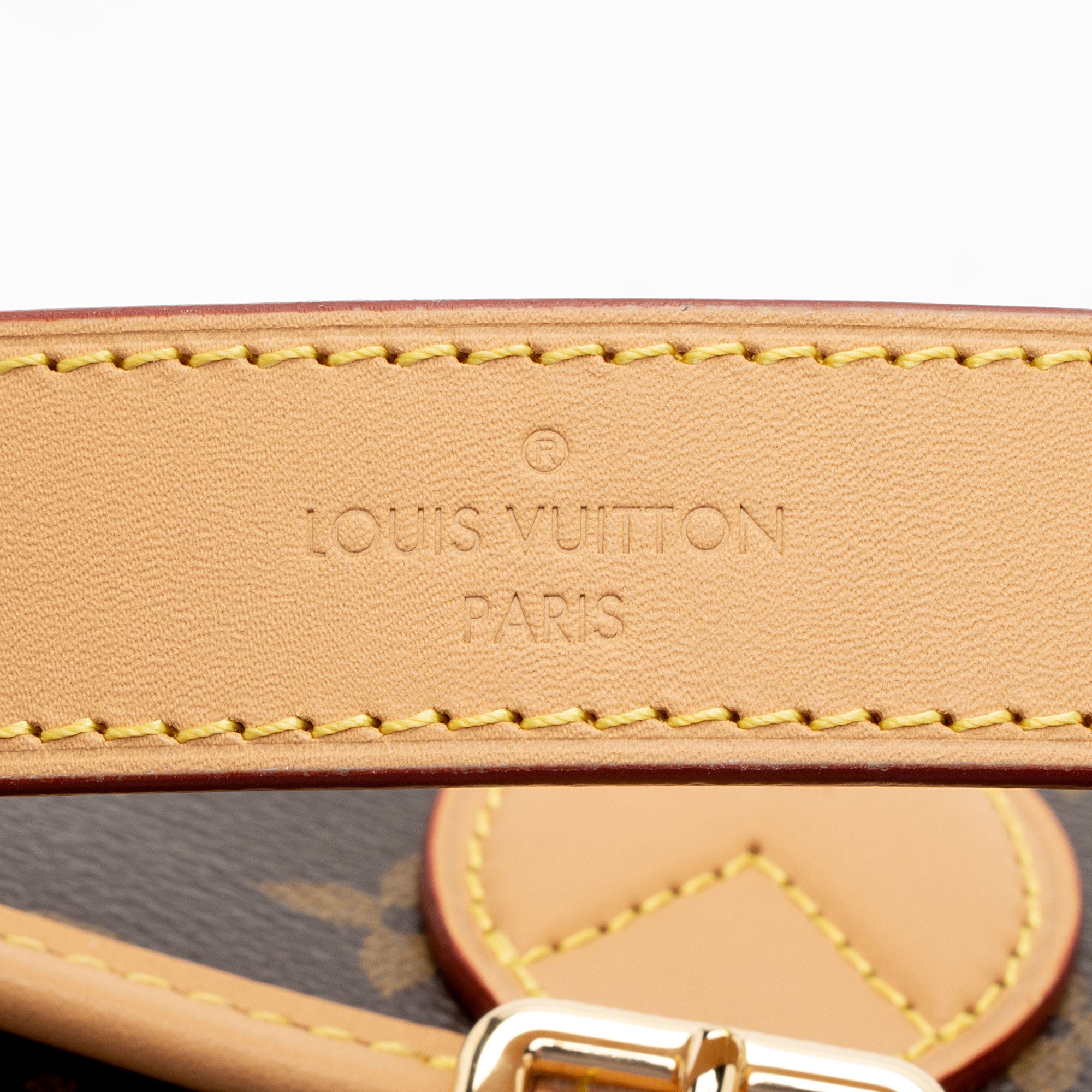 Louis Vuitton Monogram Canvas Diane Satchel (SHF-JwIGV6)