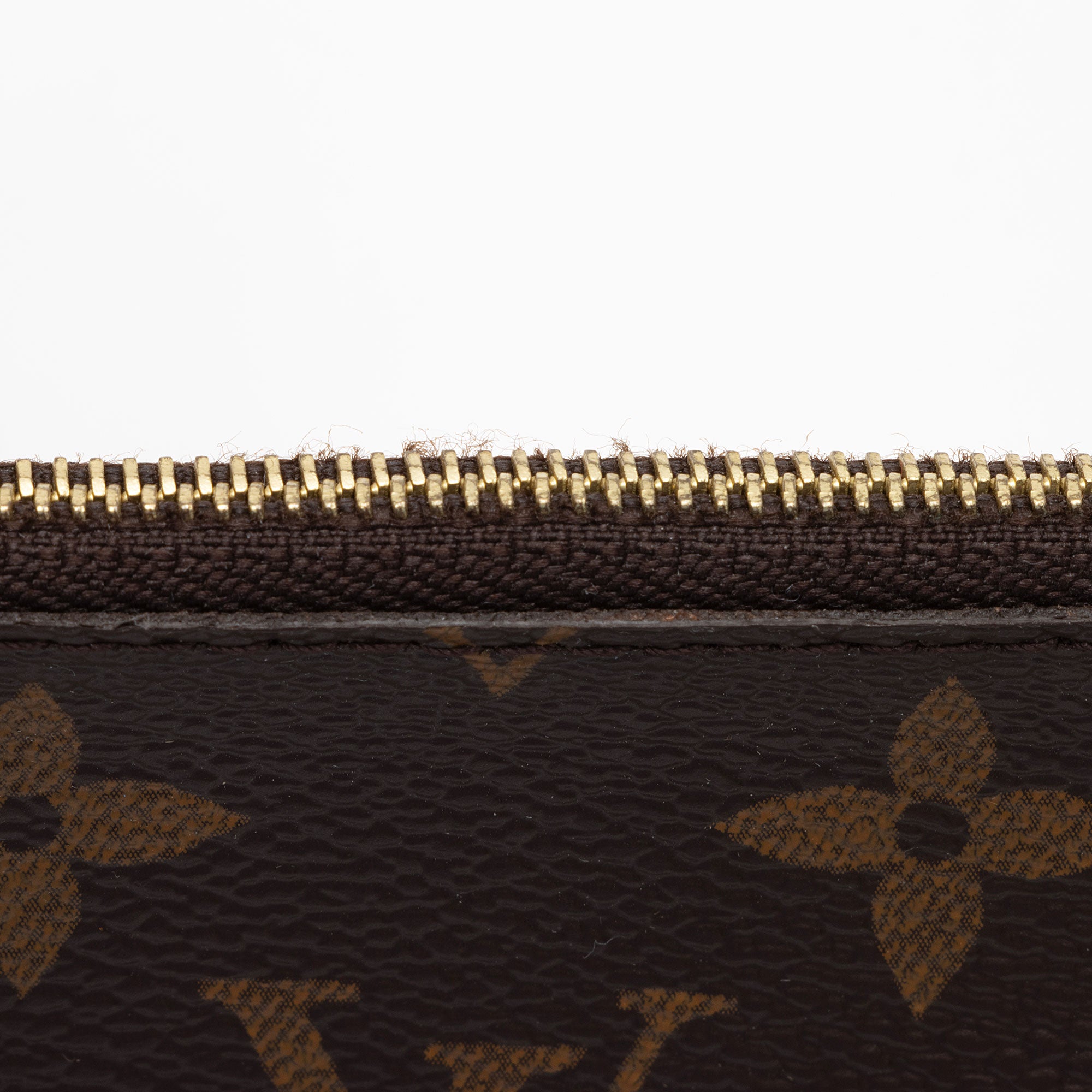 Louis Vuitton Monogram Canvas Felicie Insert (SHF-iCODLu)