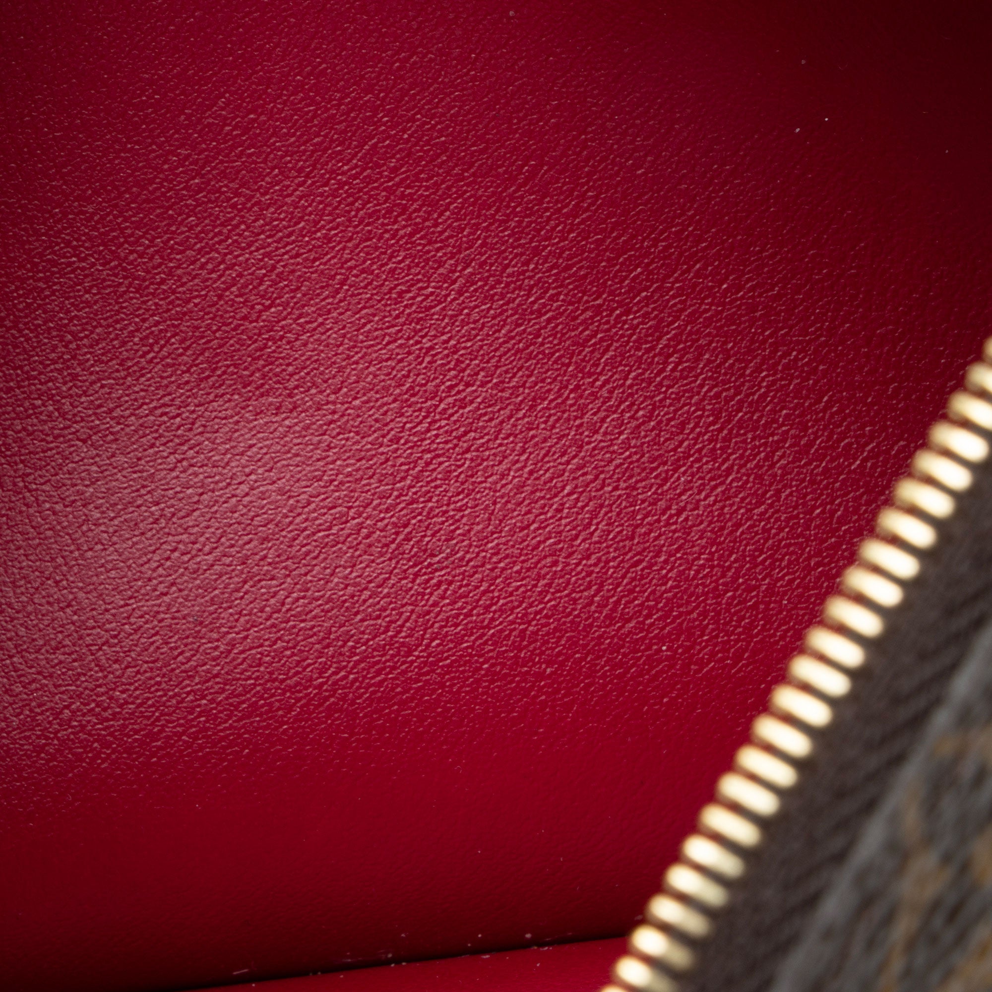 Louis Vuitton Monogram Canvas Felicie Insert
