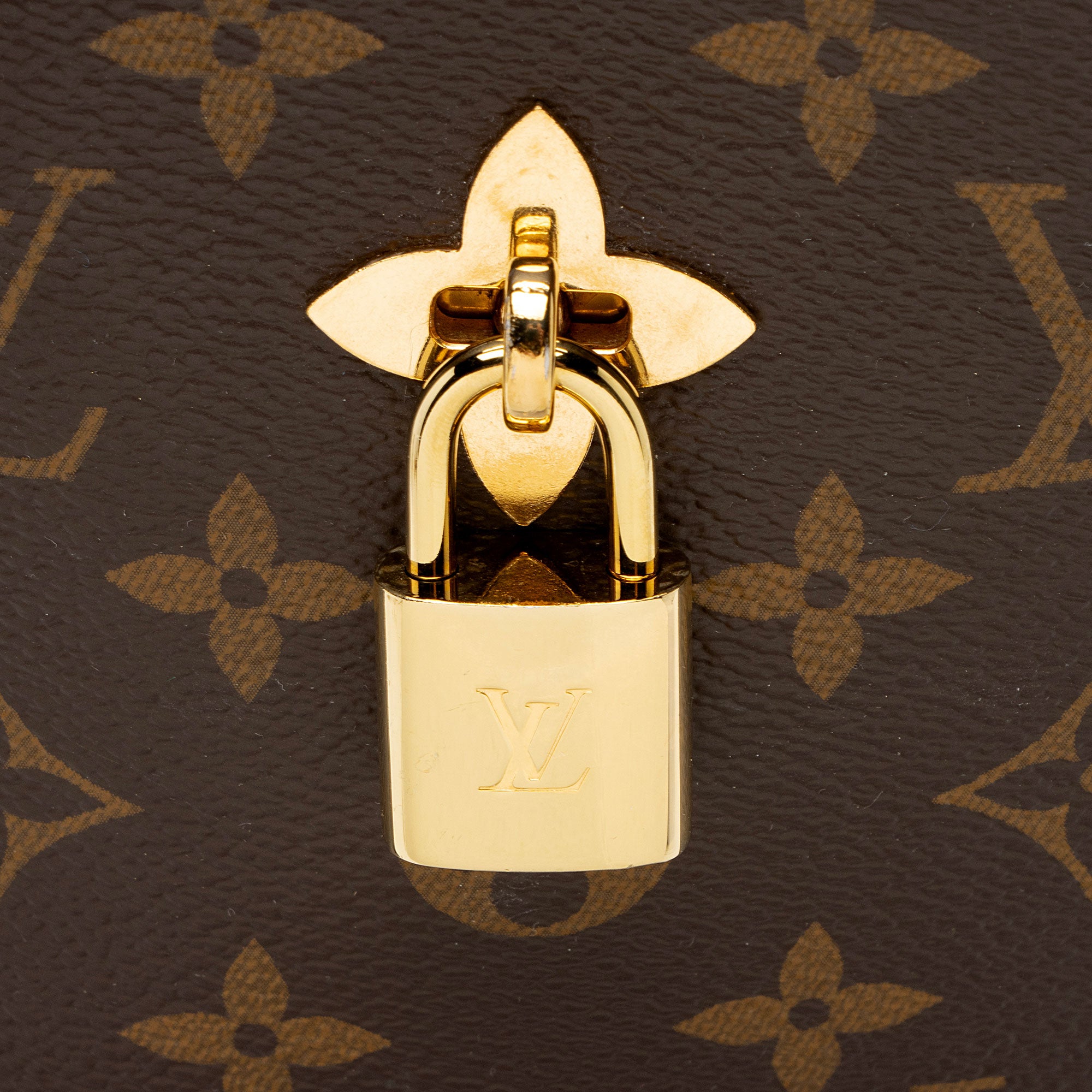 Louis Vuitton Monogram Canvas Flower Hobo