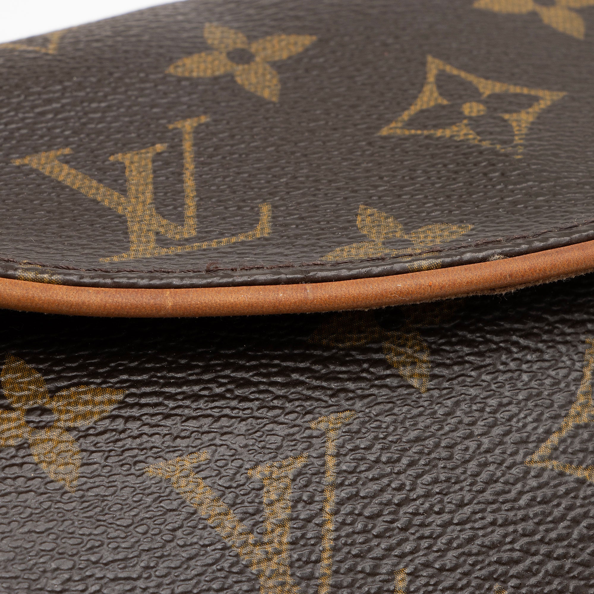 Louis Vuitton Monogram Canvas Friendly 2-Way Shoulder Bag (SHF-V9trQ4)