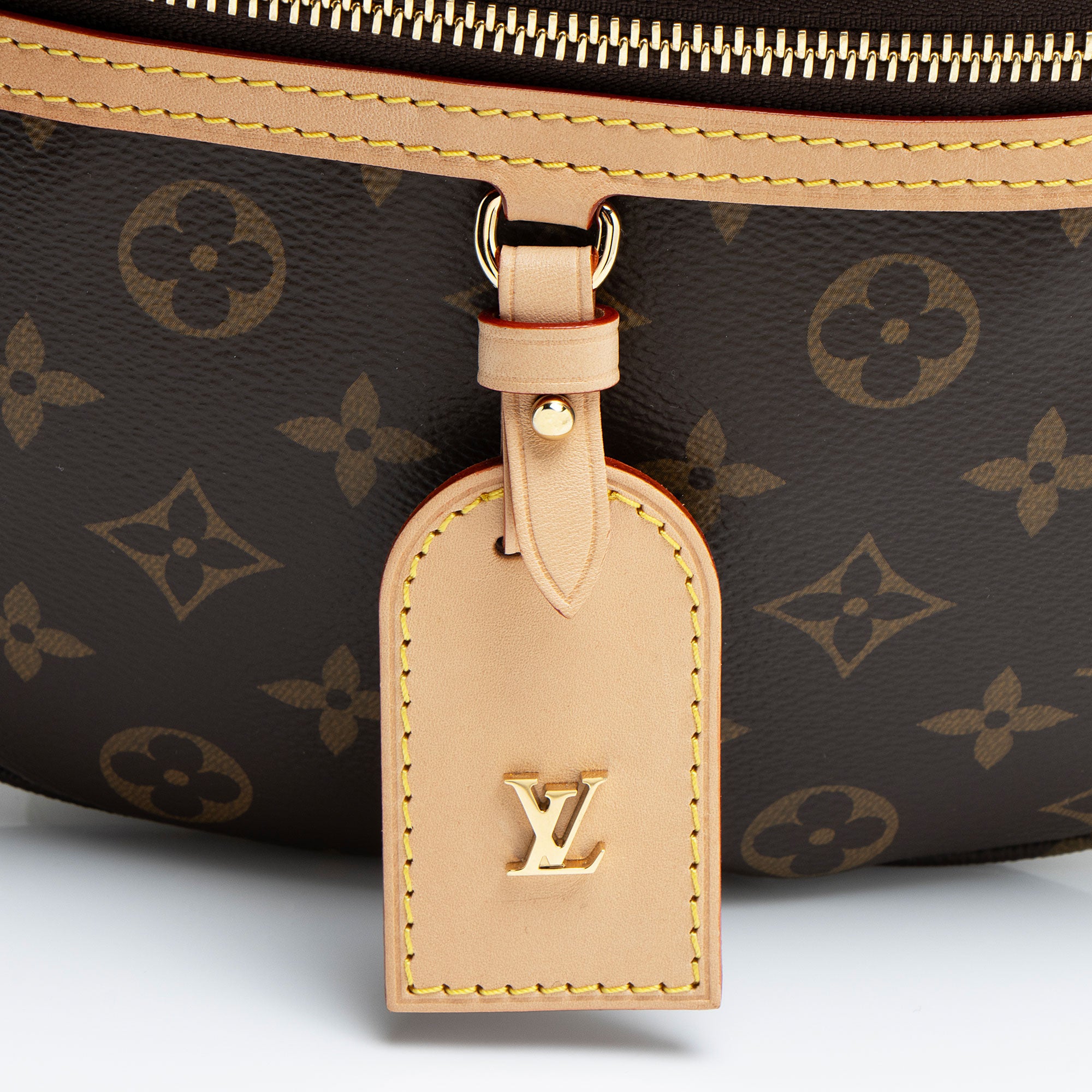 Louis Vuitton Monogram Canvas High Rise Bumbag