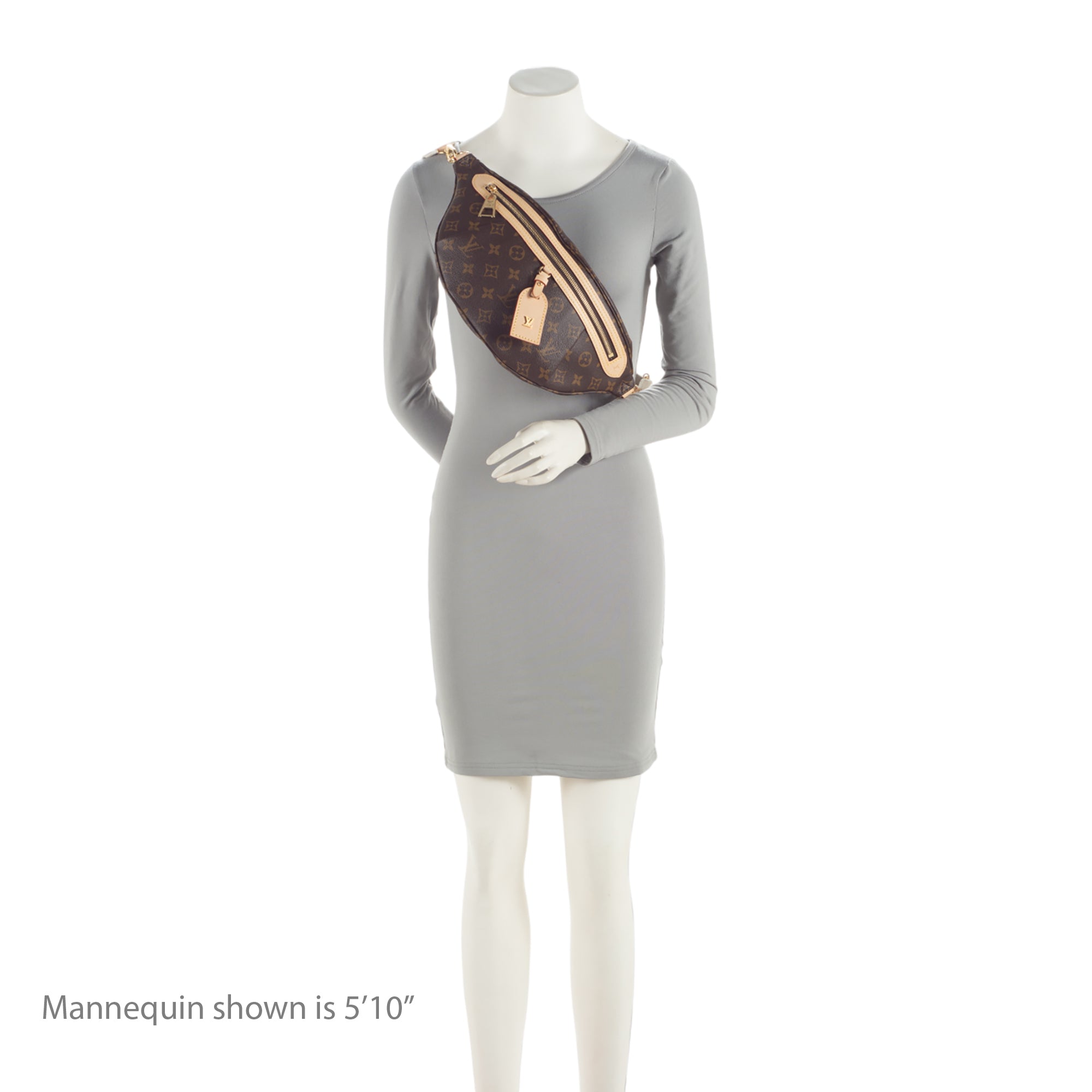 Louis Vuitton Monogram Canvas High Rise Bumbag