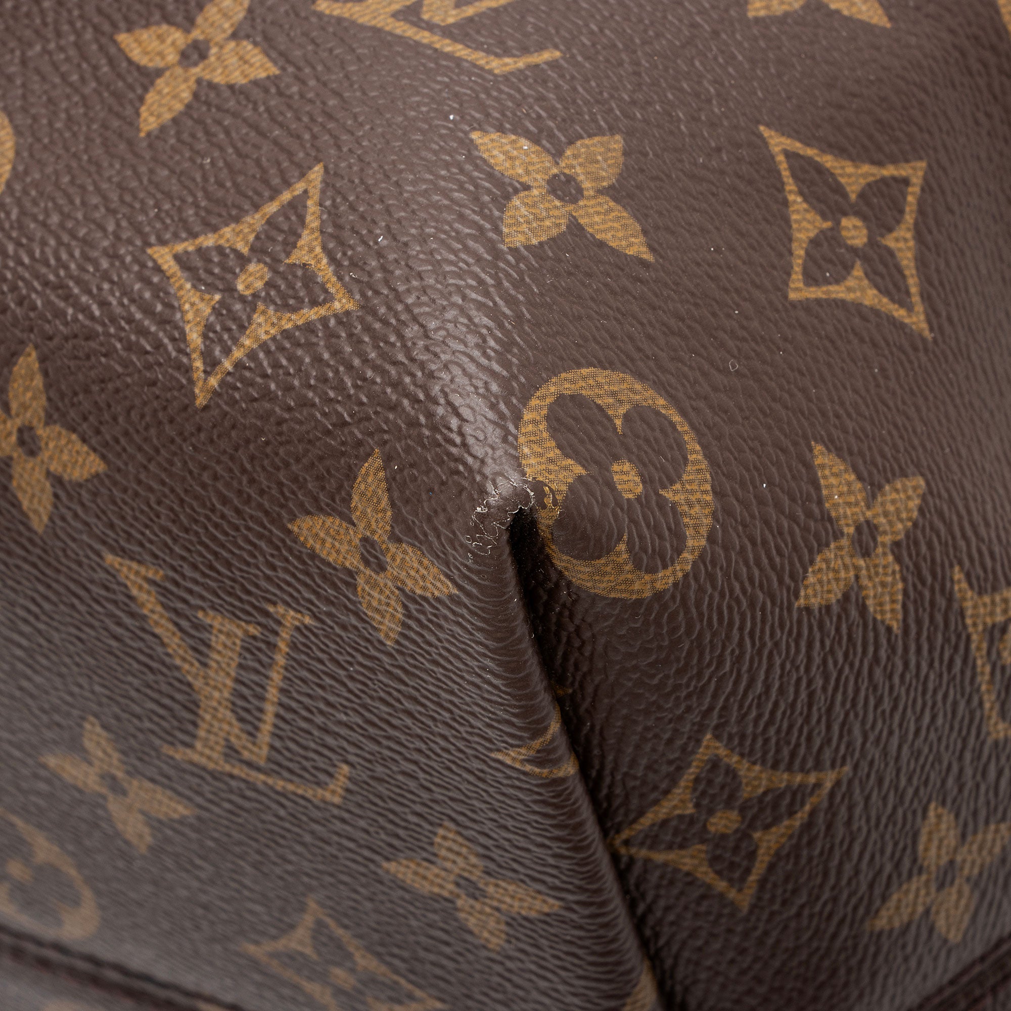Louis Vuitton Monogram Canvas Iena MM Tote