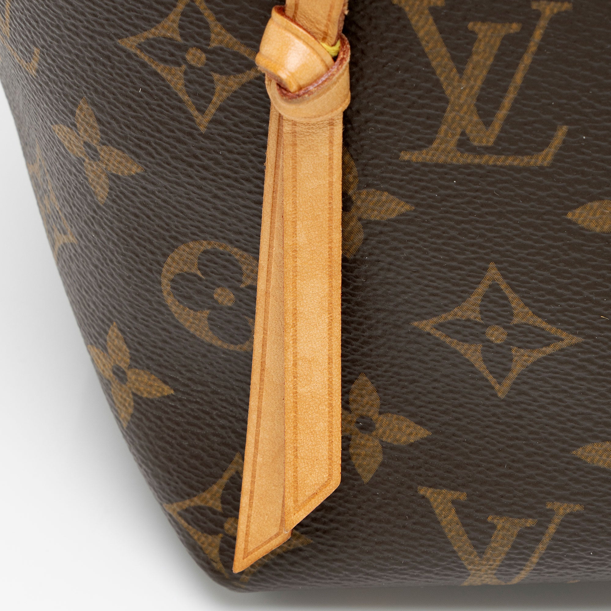 Louis Vuitton Monogram Canvas Iena PM Tote