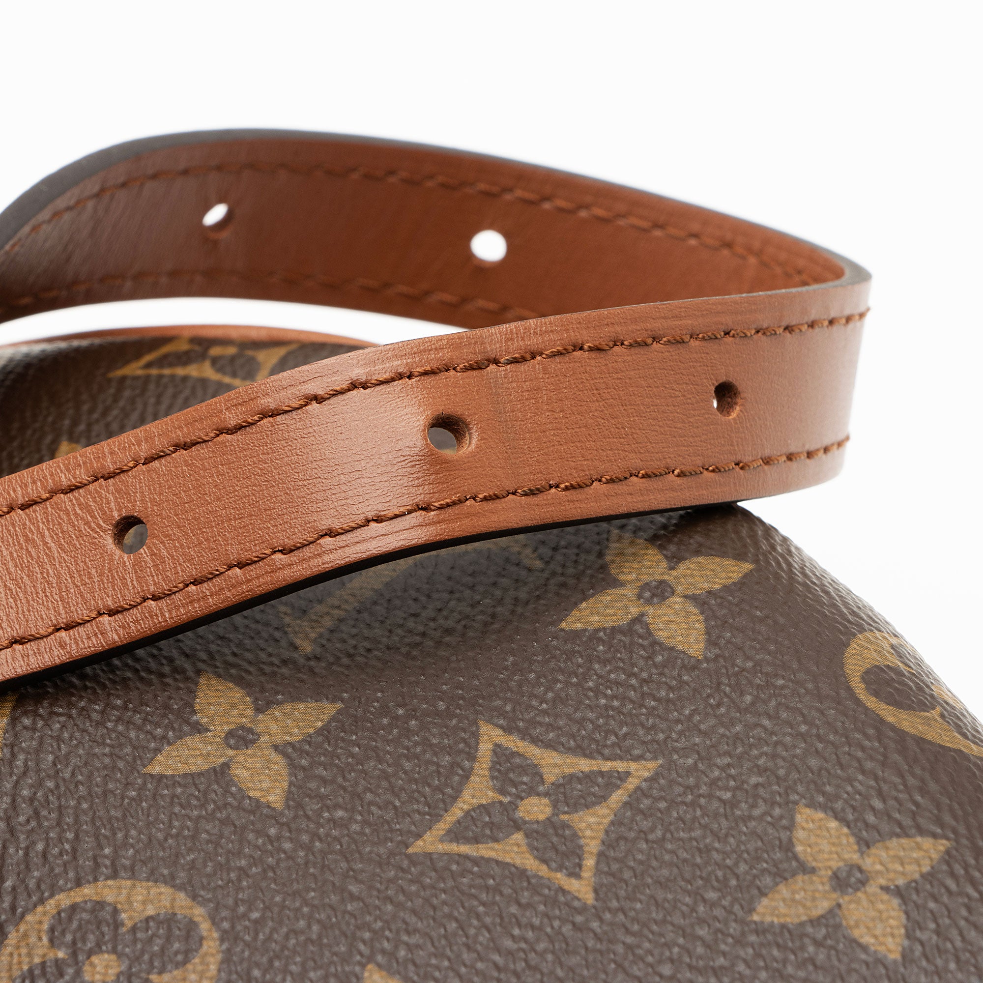 Louis Vuitton Monogram Canvas Loop Hobo (SHF-PKy8bn)