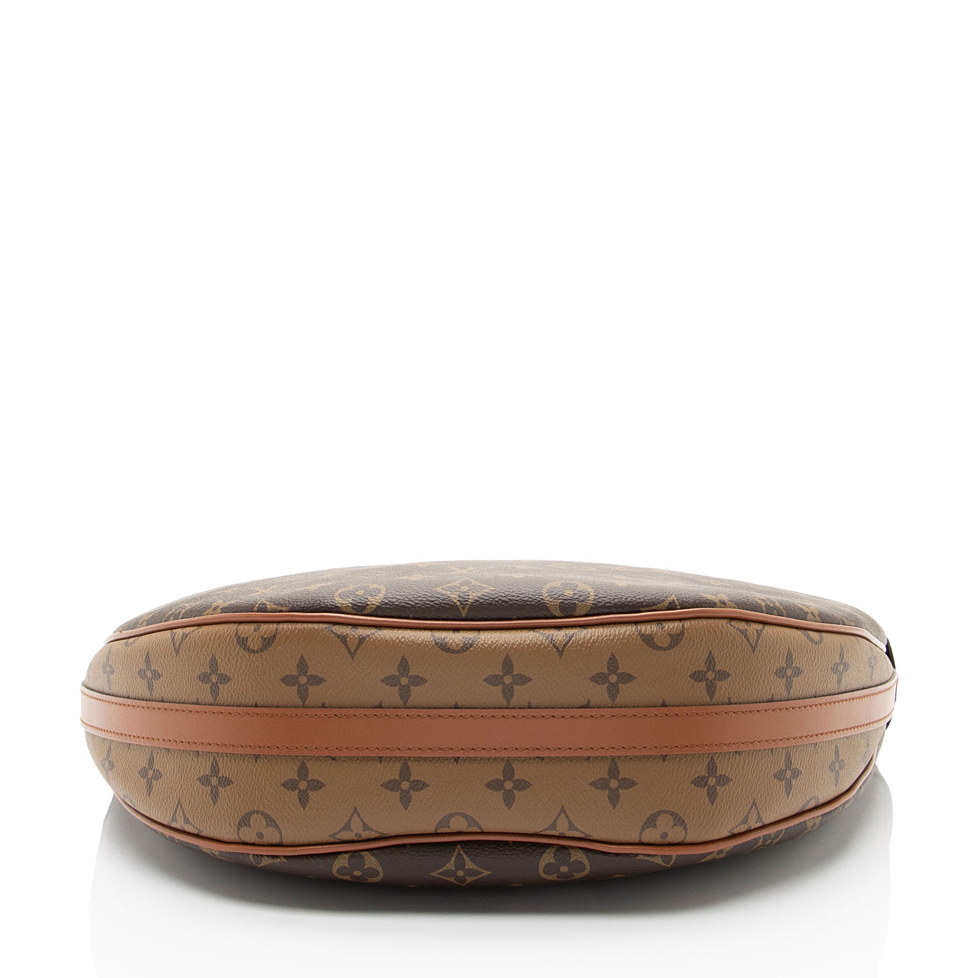 Louis Vuitton Monogram Canvas Loop Hobo