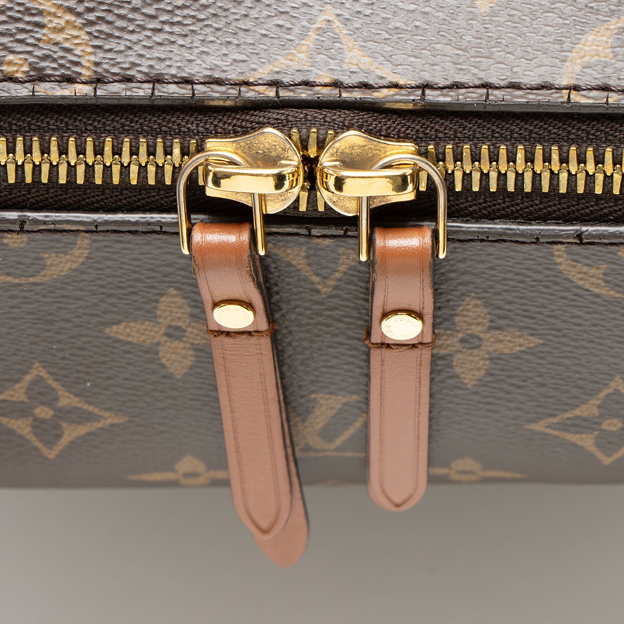 Louis Vuitton Monogram Canvas Loop Hobo