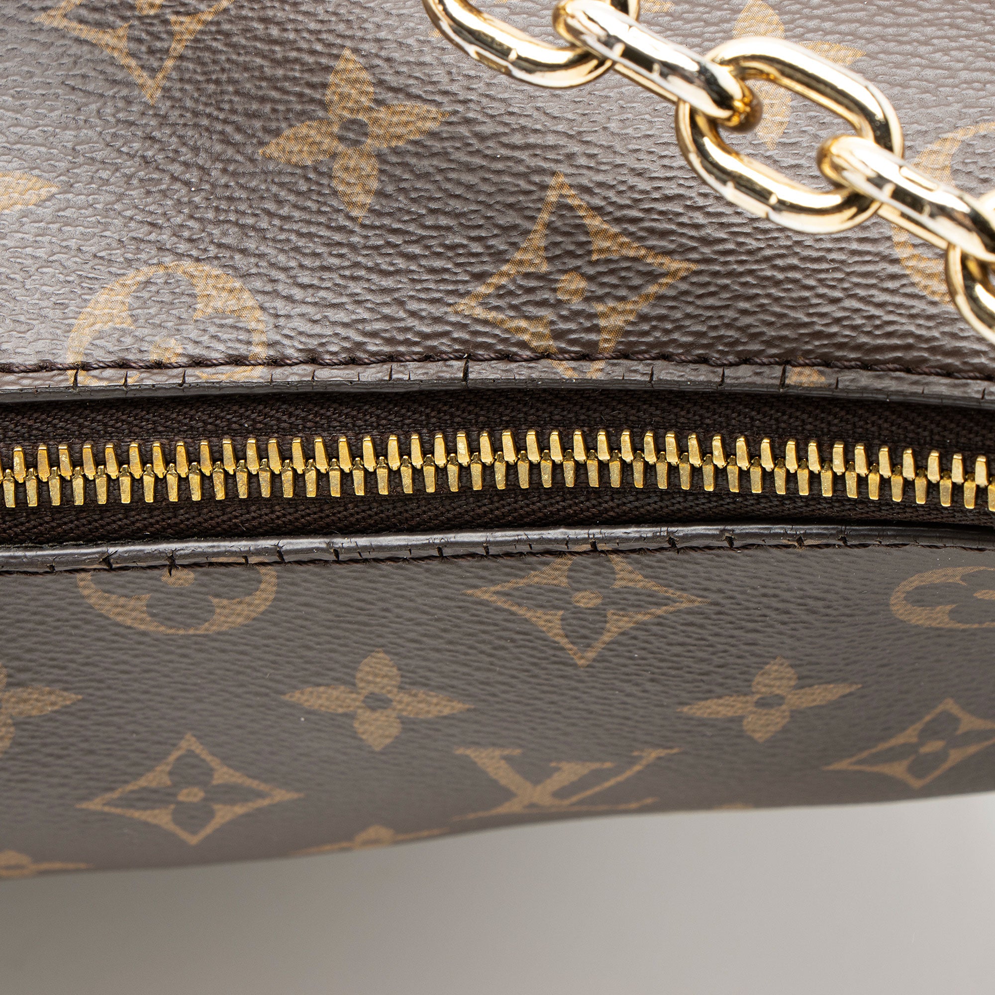 Louis Vuitton Monogram Canvas Loop Hobo