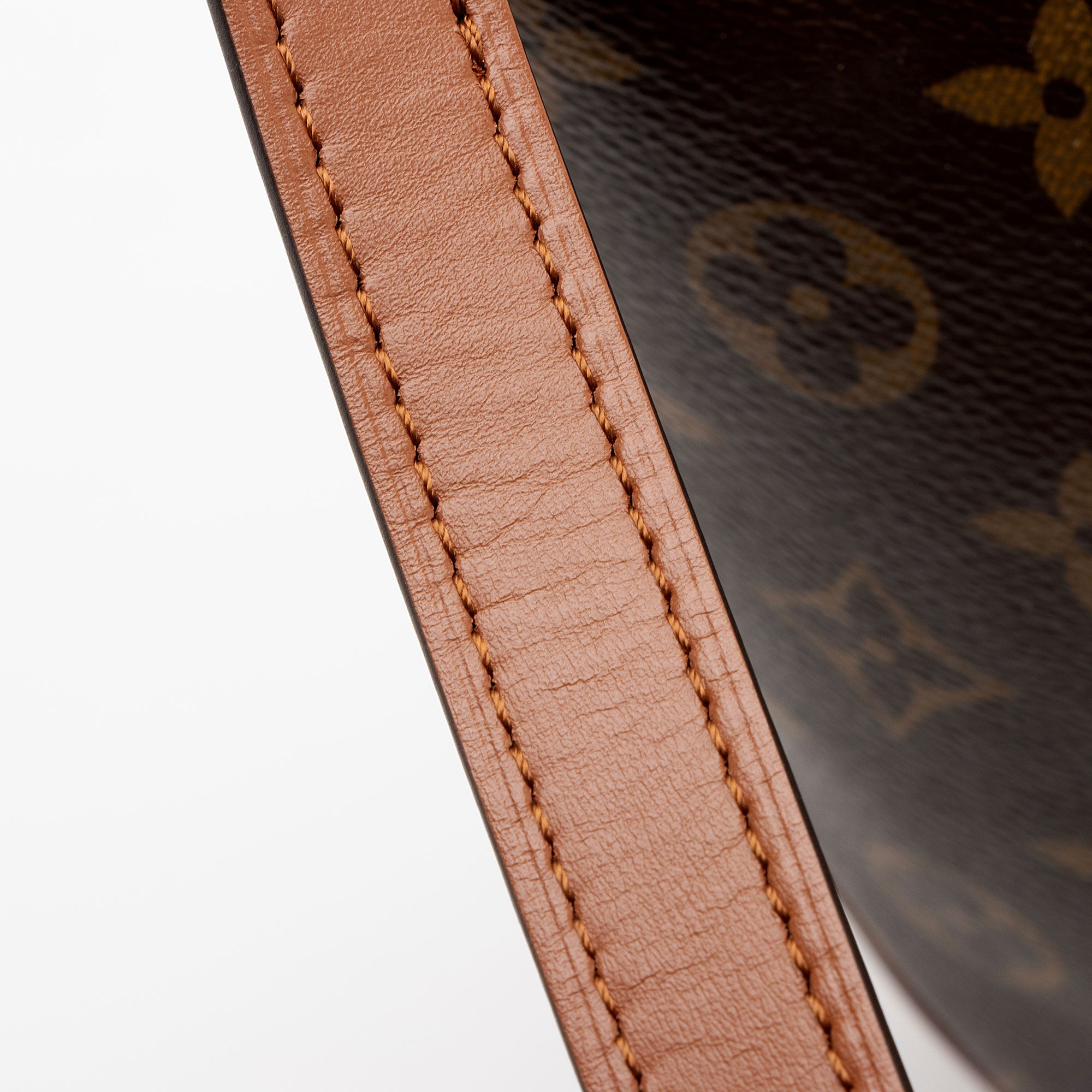 Louis Vuitton Monogram Canvas Loop Hobo