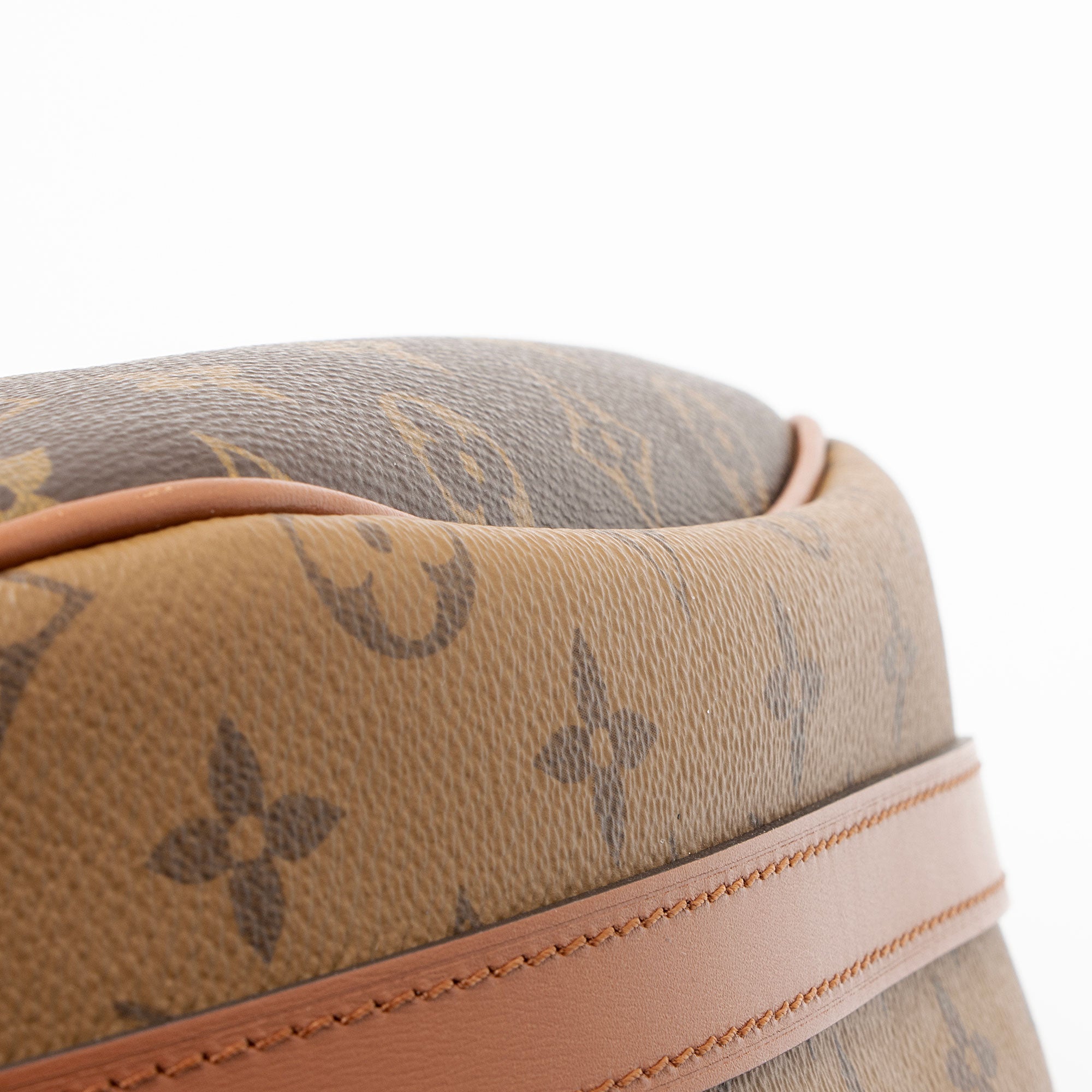 Louis Vuitton Monogram Canvas Loop Hobo