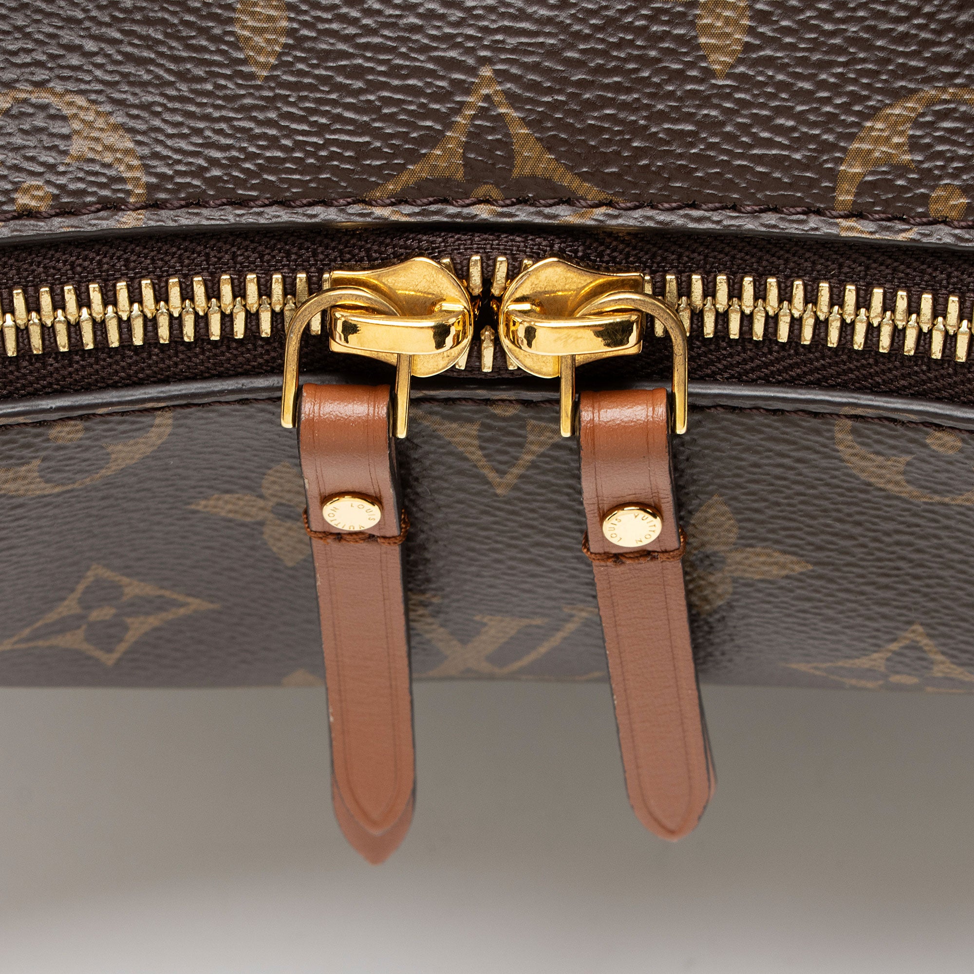 Louis Vuitton Monogram Canvas Loop Hobo