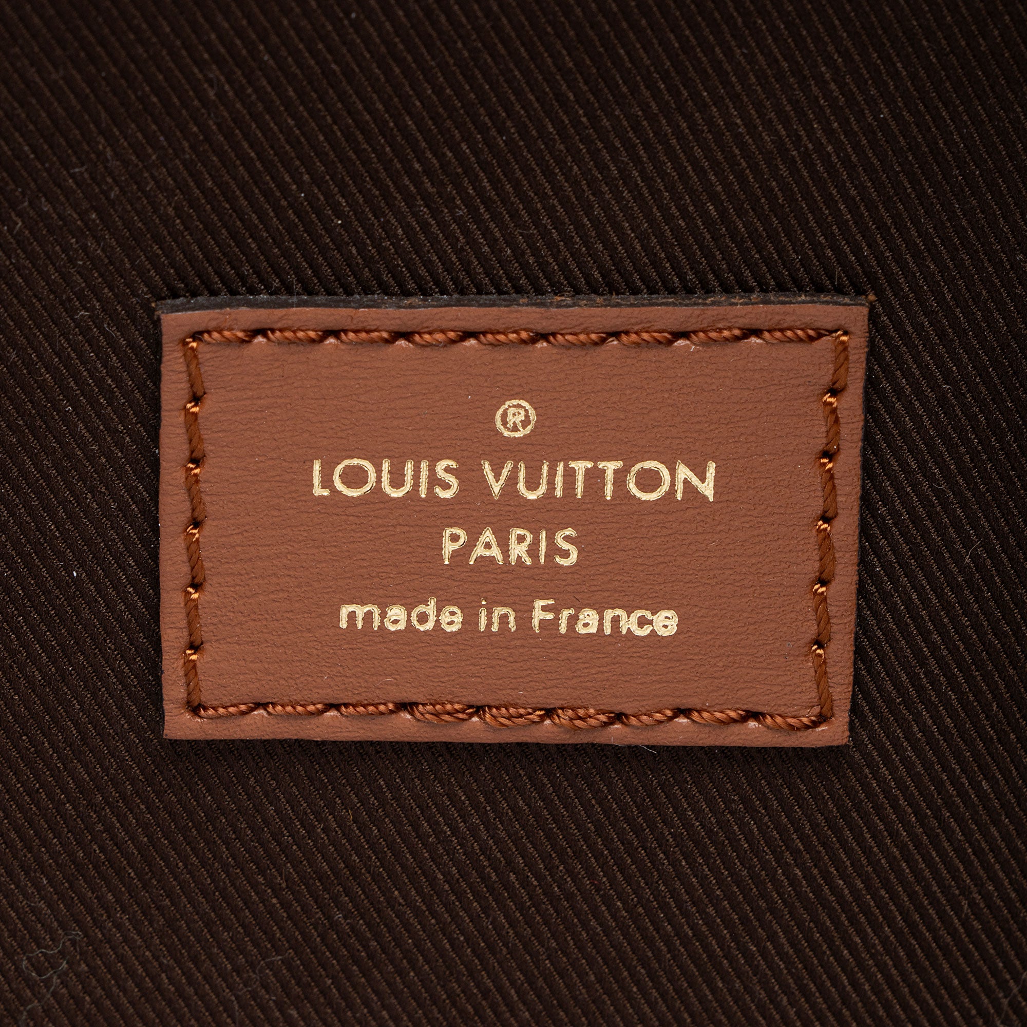 Louis Vuitton Monogram Canvas Loop Hobo