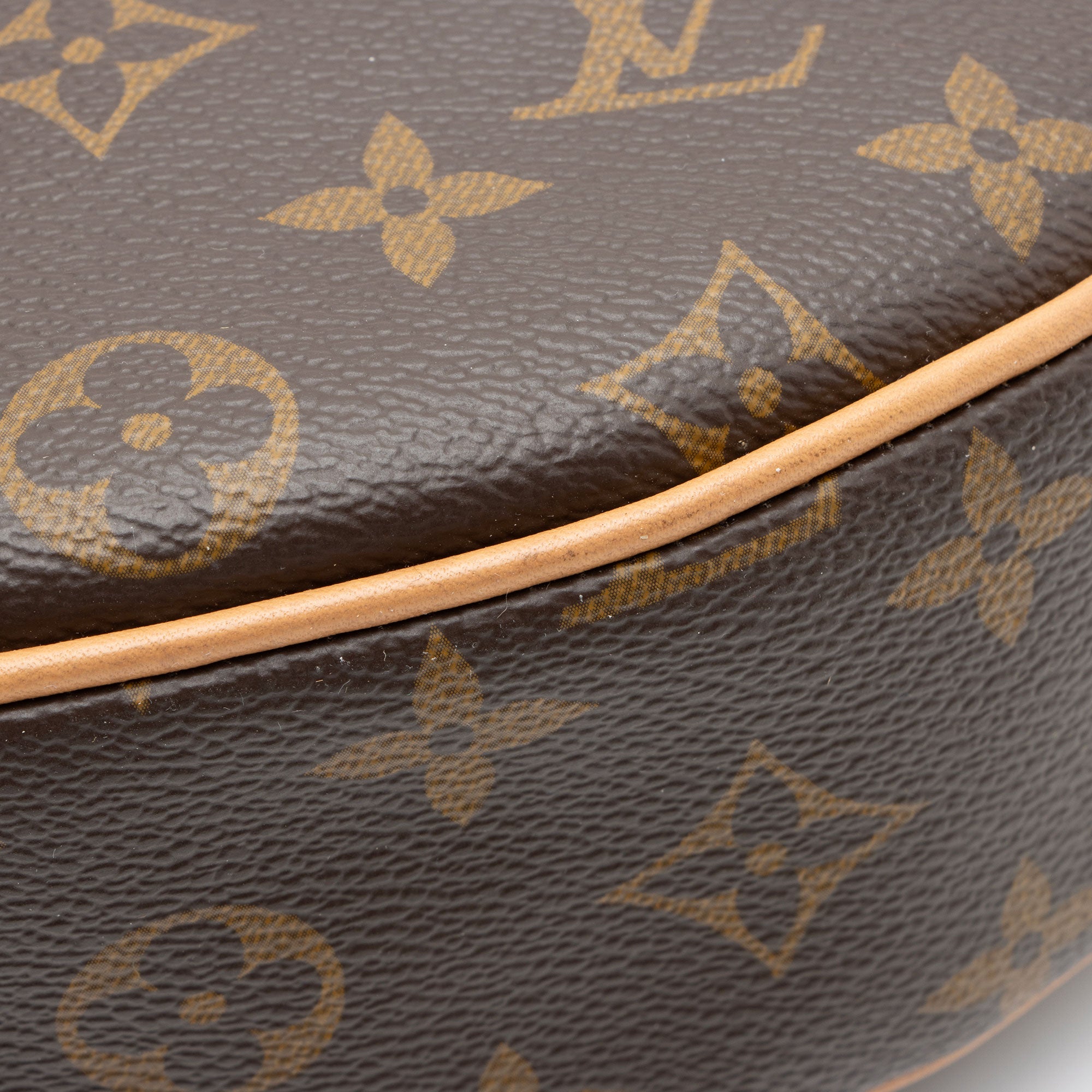 Louis Vuitton Monogram Canvas Loop Shoulder Bag