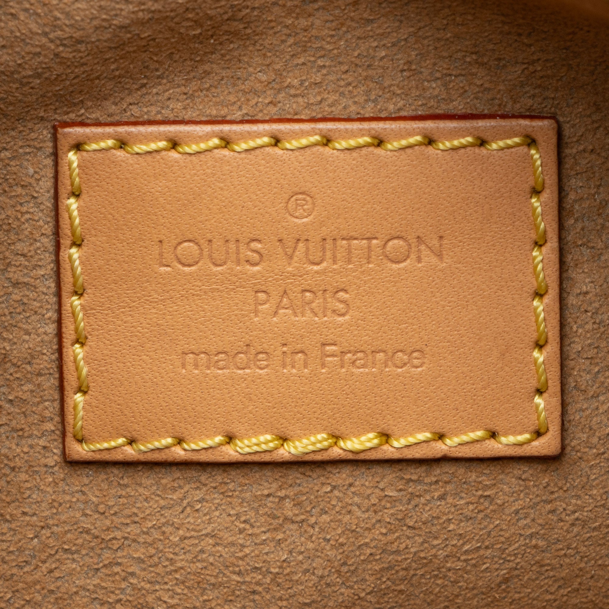 Louis Vuitton Monogram Canvas Loop Shoulder Bag