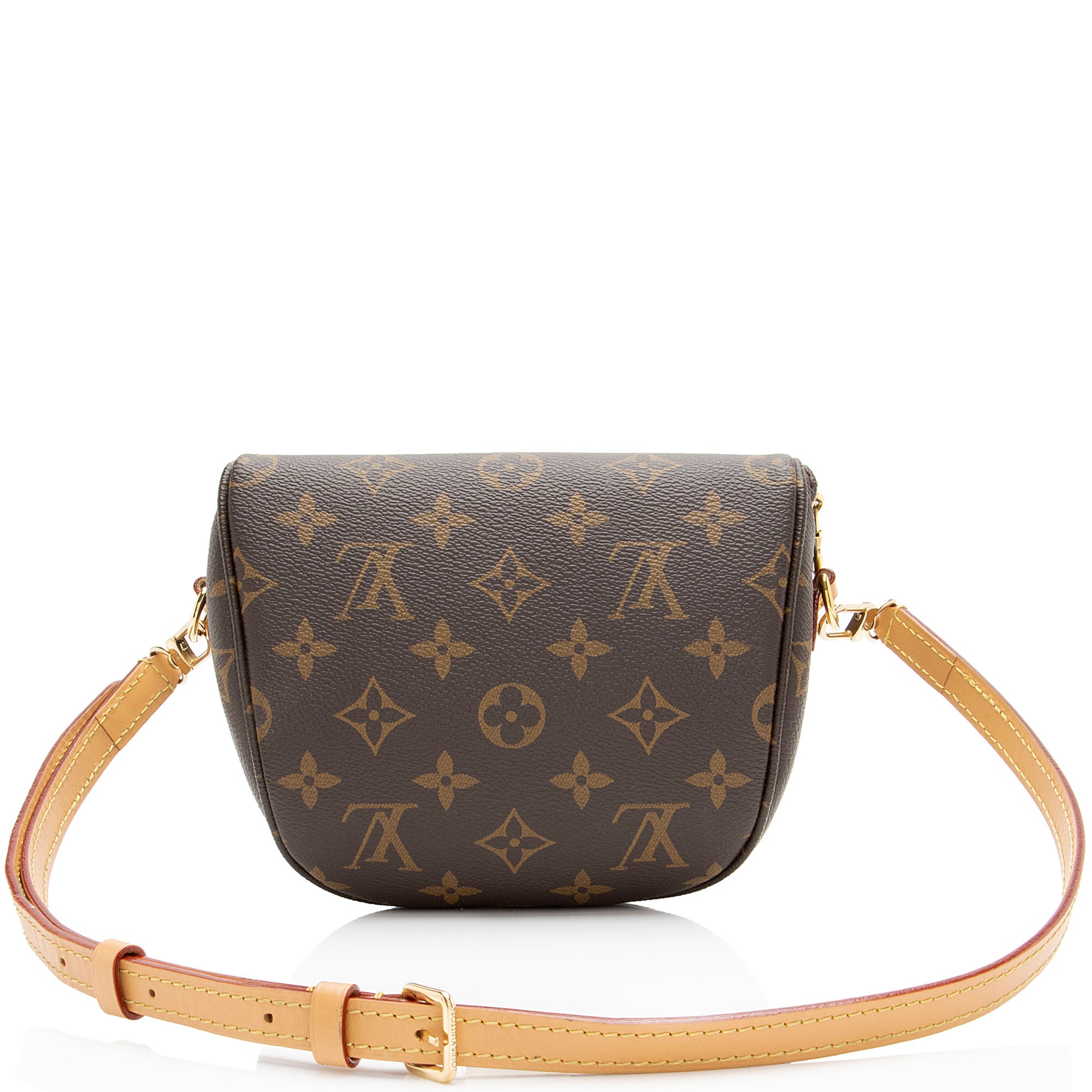 Louis Vuitton Monogram Canvas Mini Bumbag