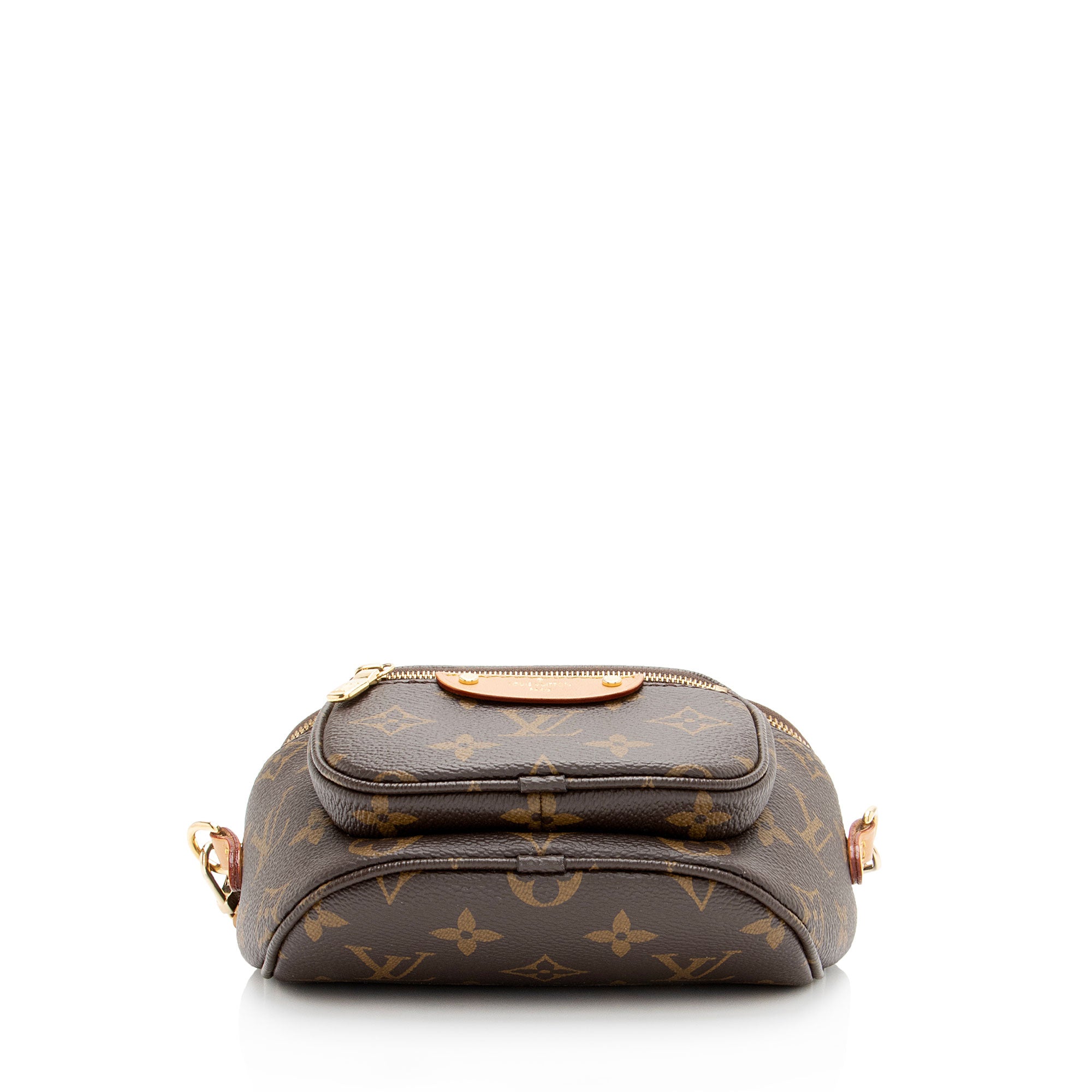 Louis Vuitton Monogram Canvas Mini Bumbag