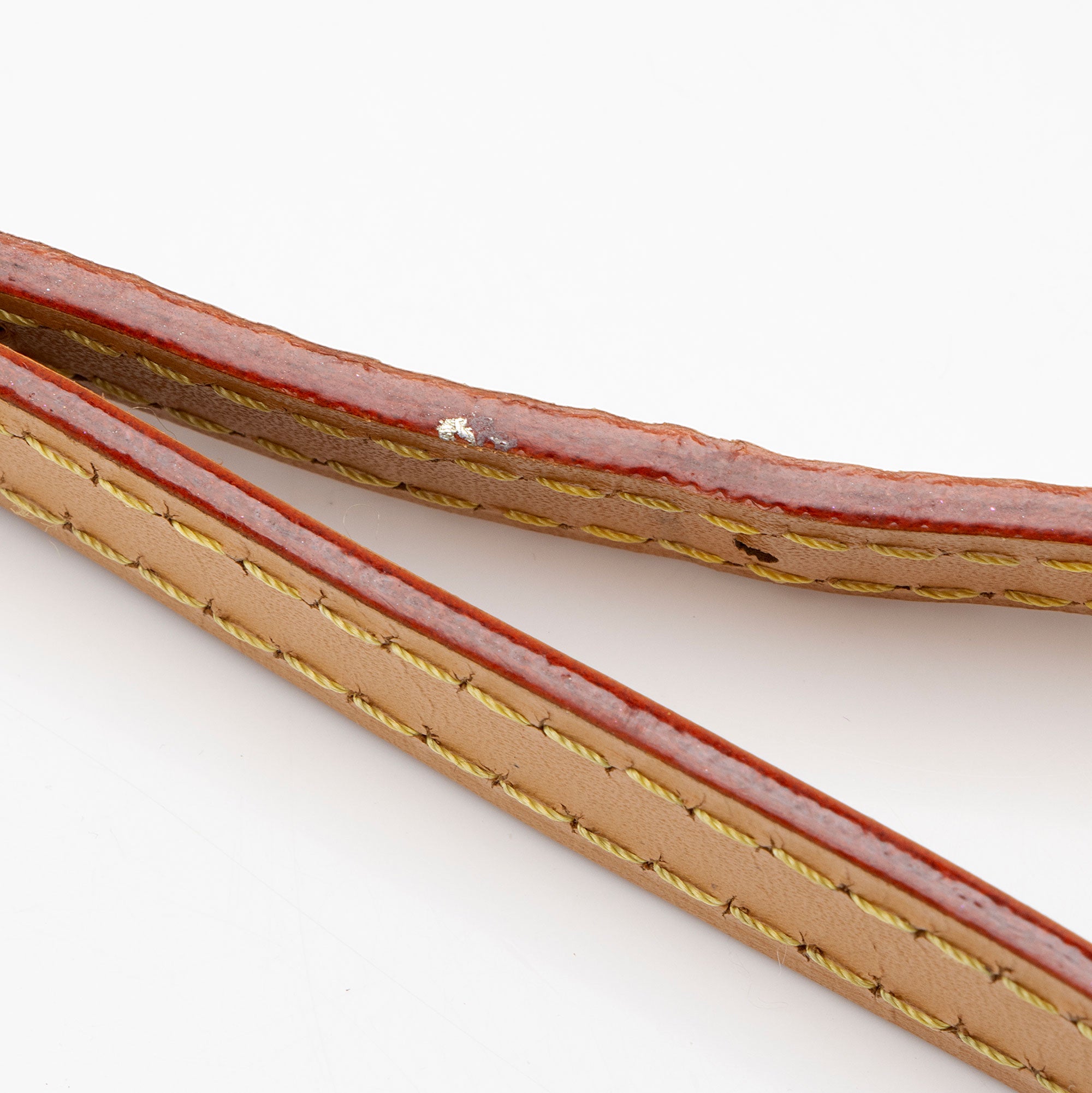 Louis Vuitton Monogram Canvas Mini Bumbag