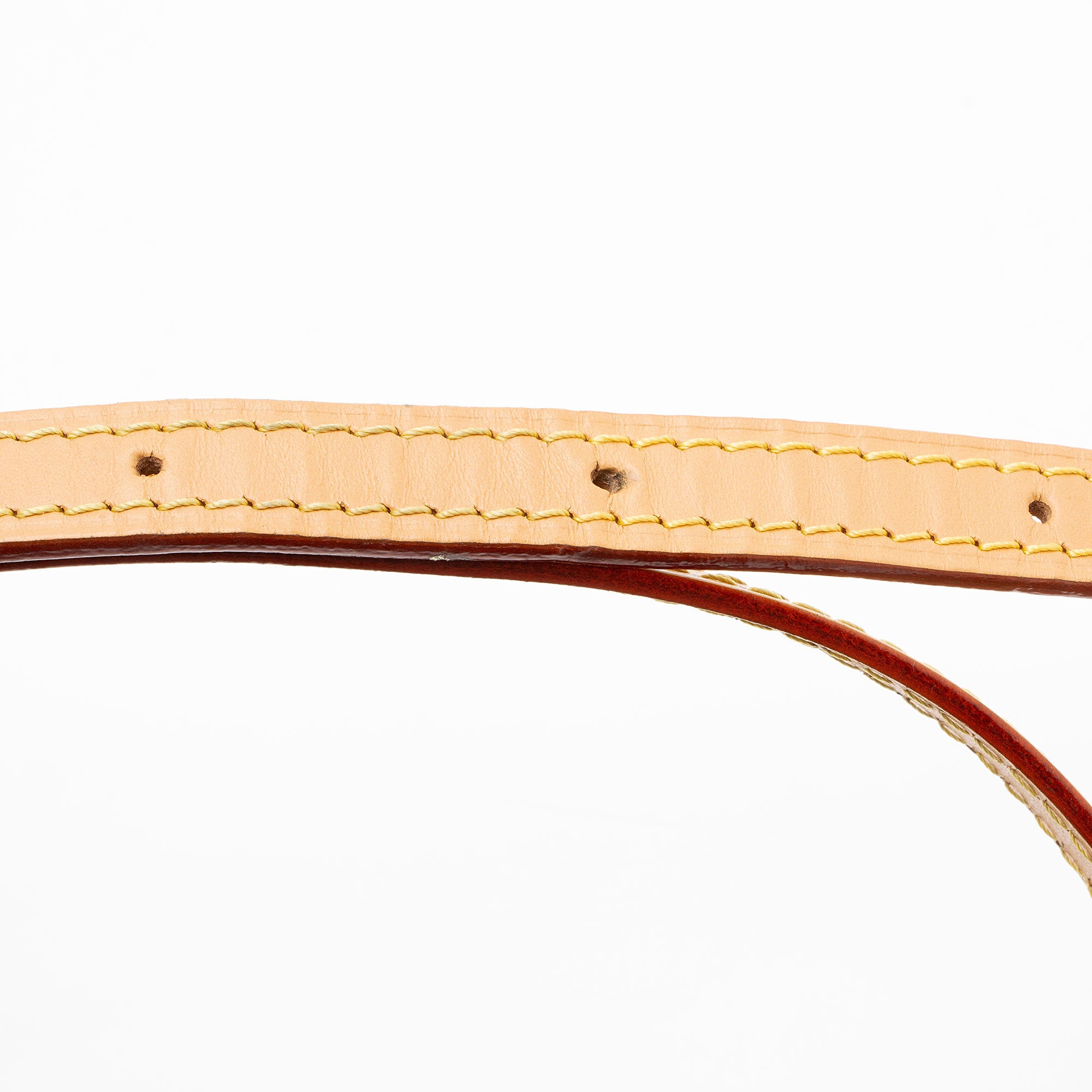 Louis Vuitton Monogram Canvas Mini Bumbag