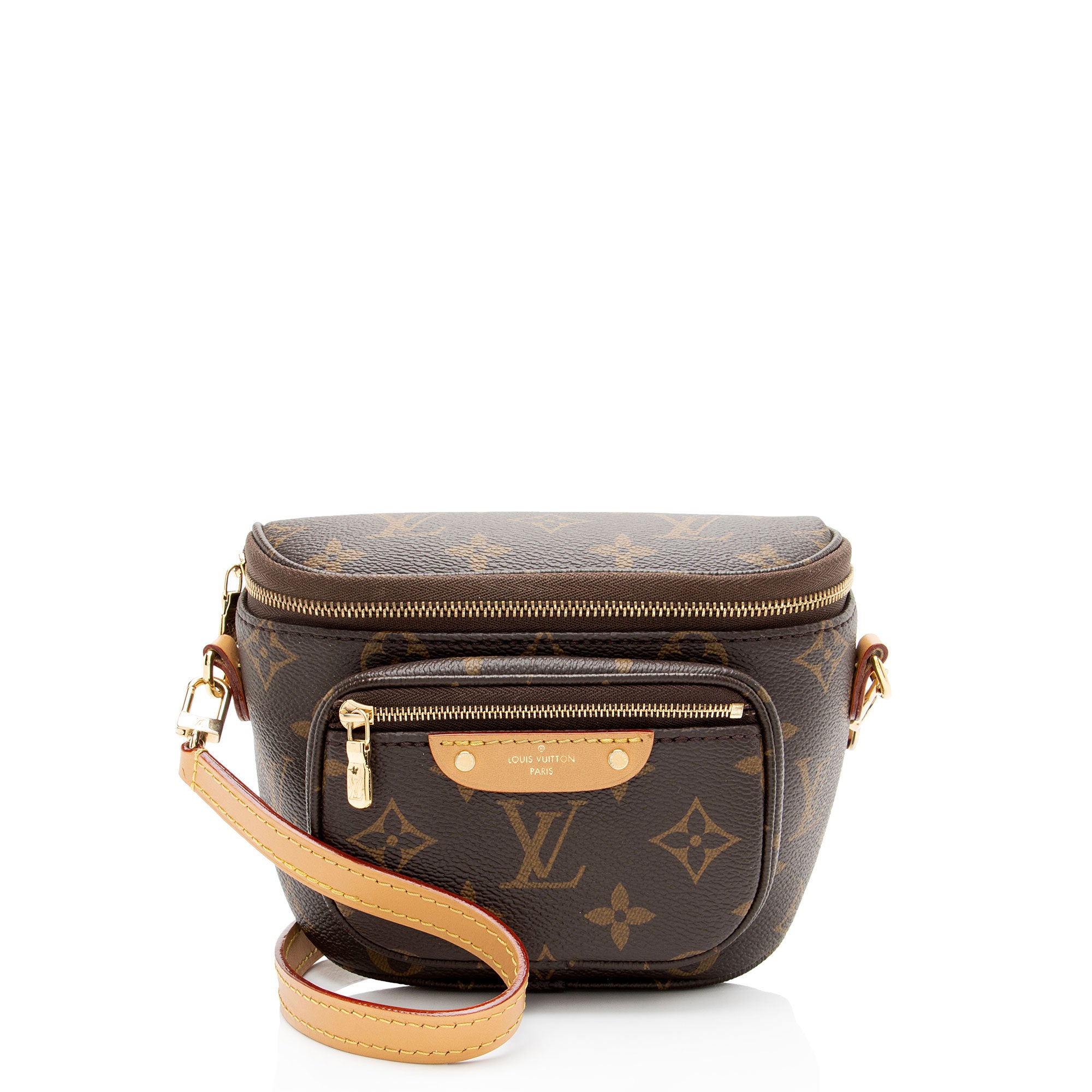 Louis Vuitton Monogram Canvas Mini Bumbag