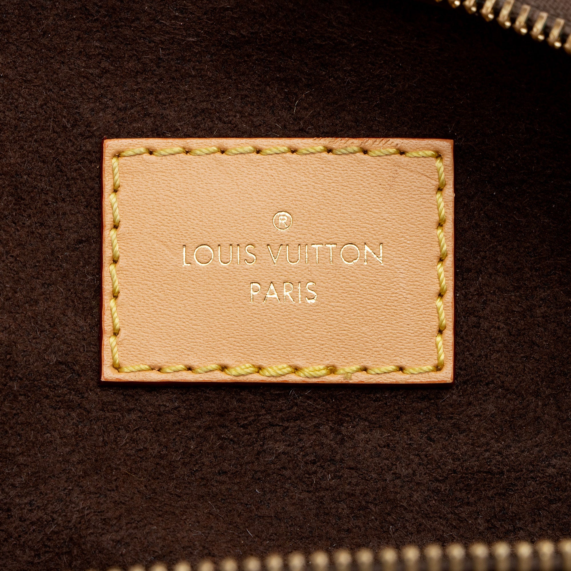 Louis Vuitton Monogram Canvas Mini Bumbag