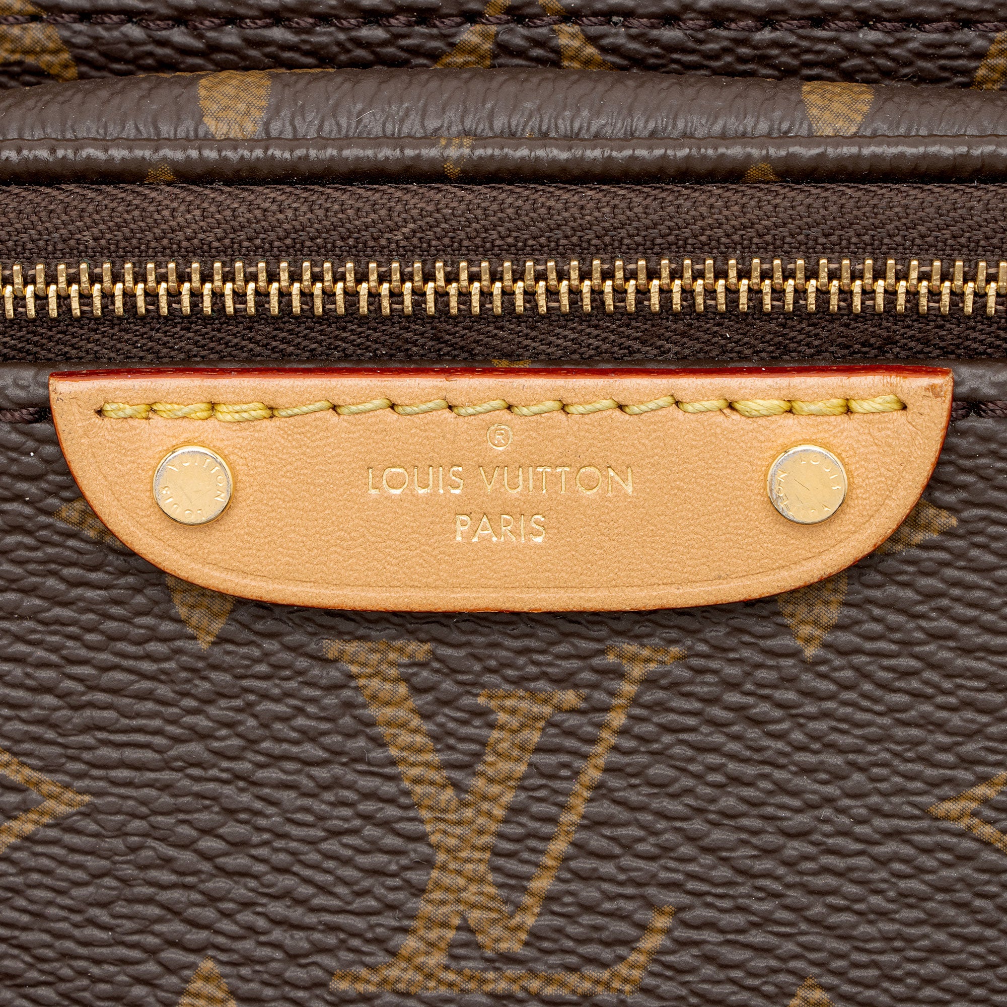 Louis Vuitton Monogram Canvas Mini Bumbag