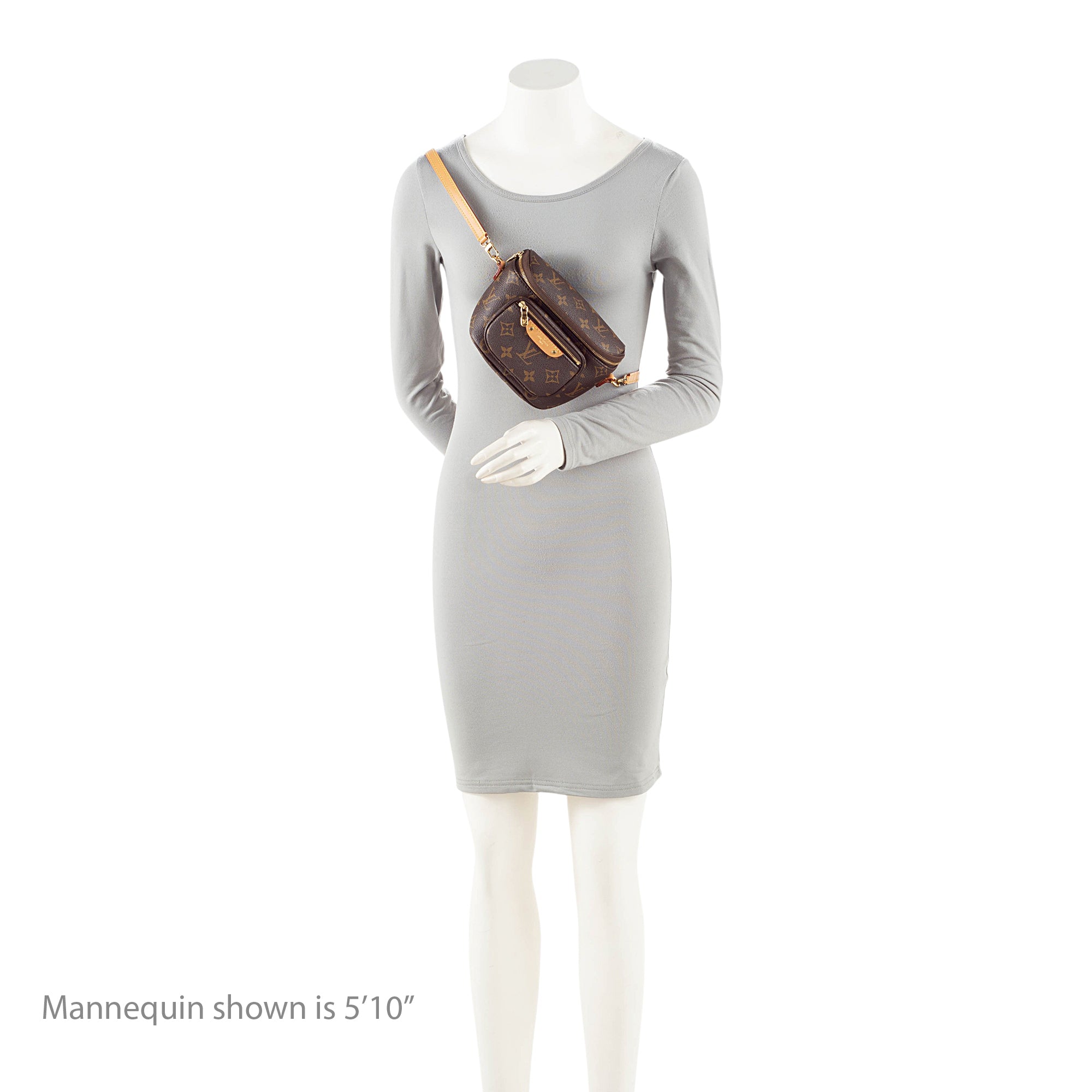 Louis Vuitton Monogram Canvas Mini Bumbag