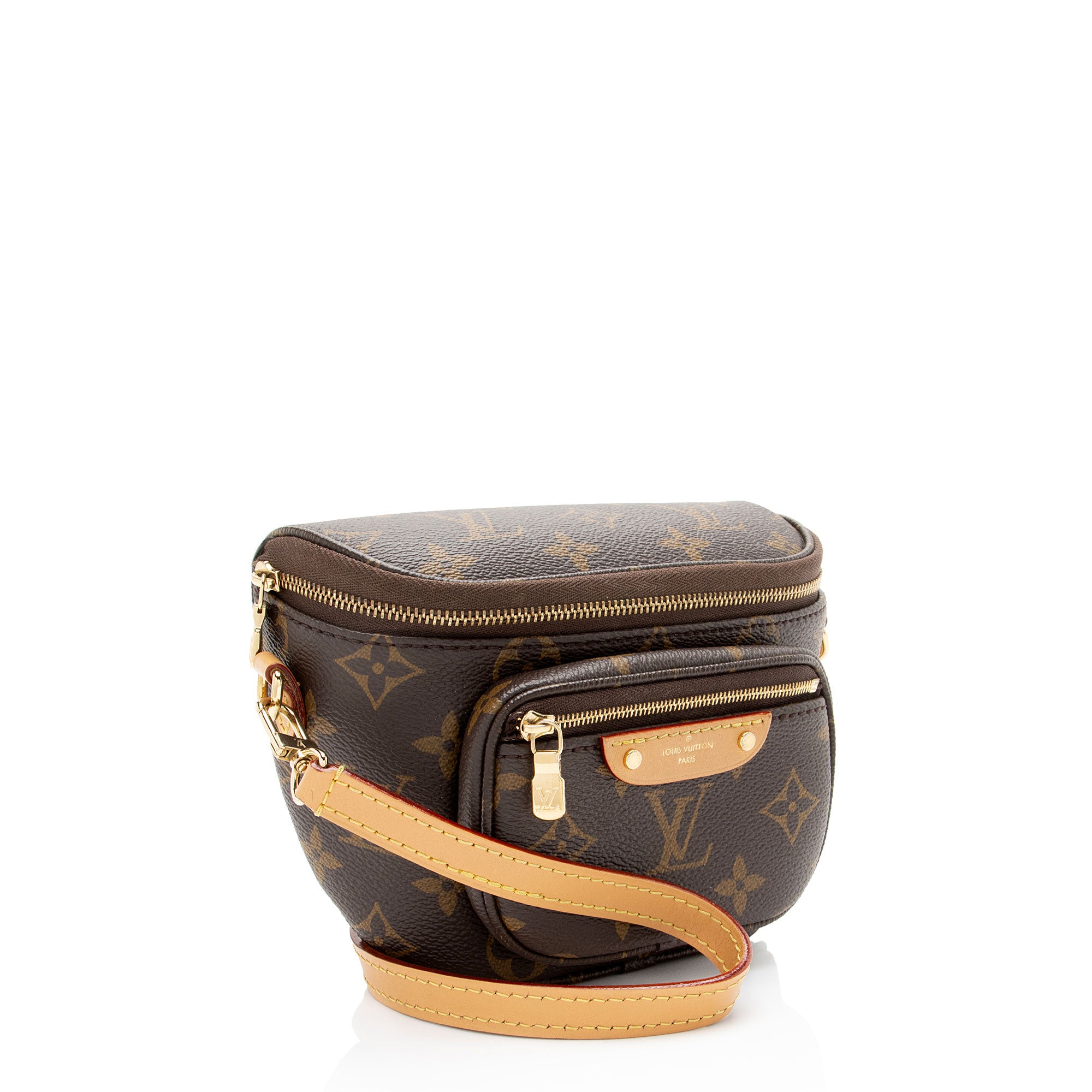 Louis Vuitton Monogram Canvas Mini Bumbag