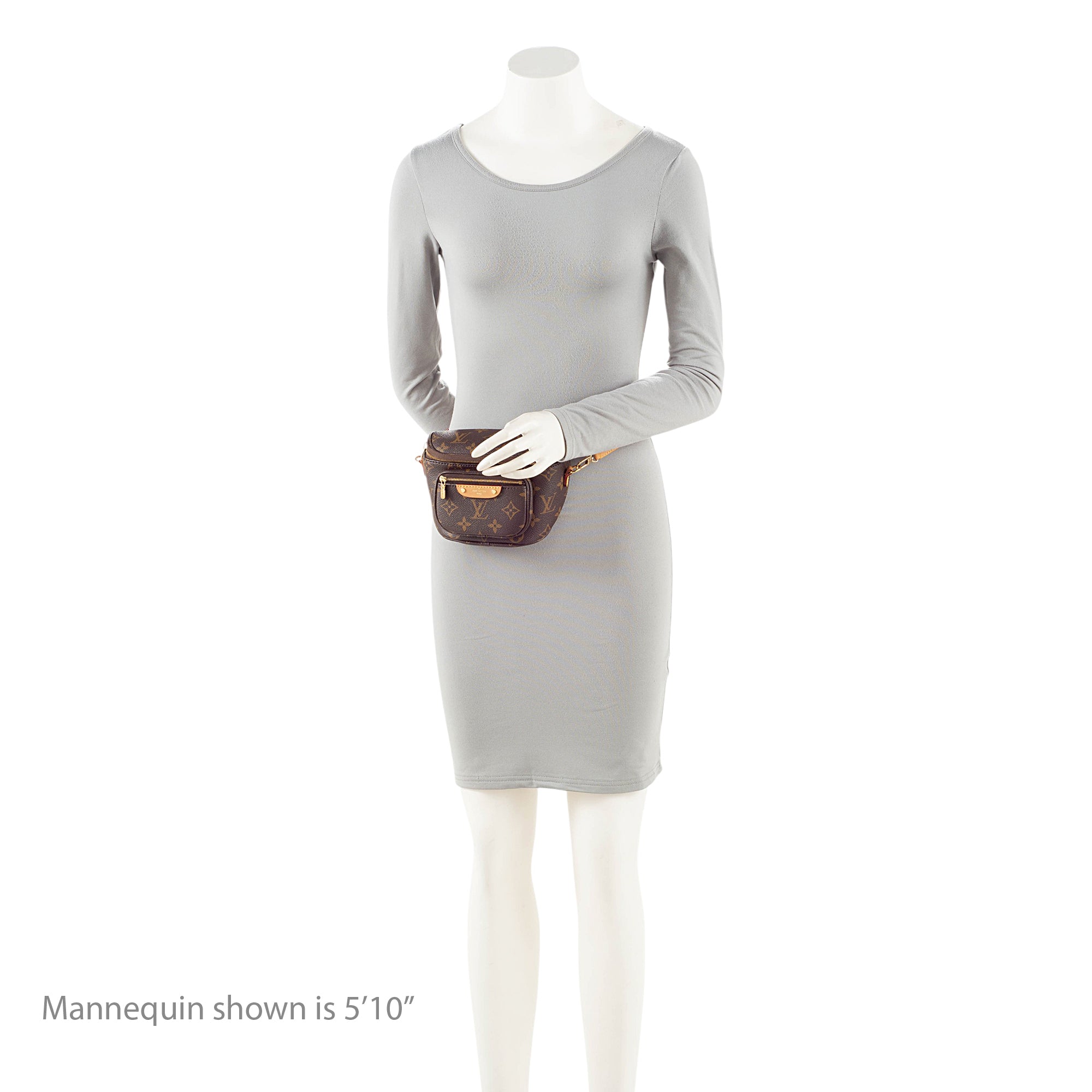 Louis Vuitton Monogram Canvas Mini Bumbag