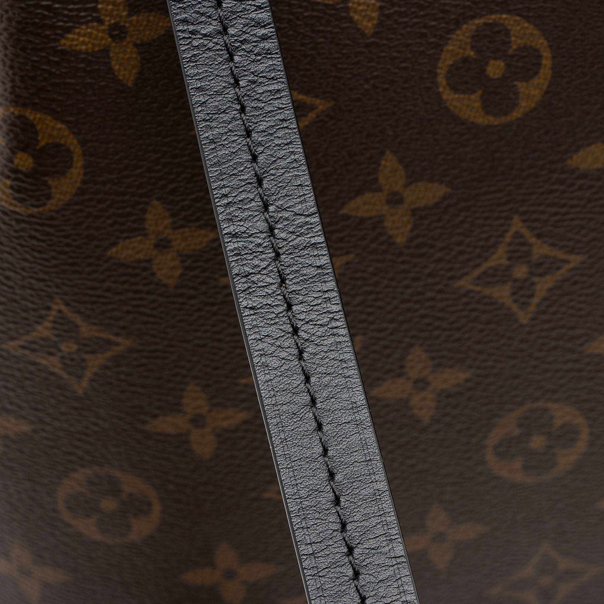 Louis Vuitton Monogram Canvas Montsouris PM NM Backpack (SHF-dZecfY)