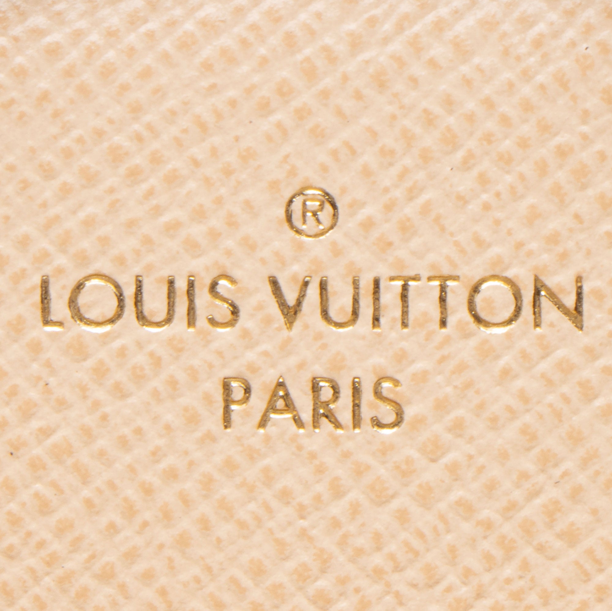 Louis Vuitton Monogram Canvas Multi-Pochette Accessoires (SHF-13NbG3)