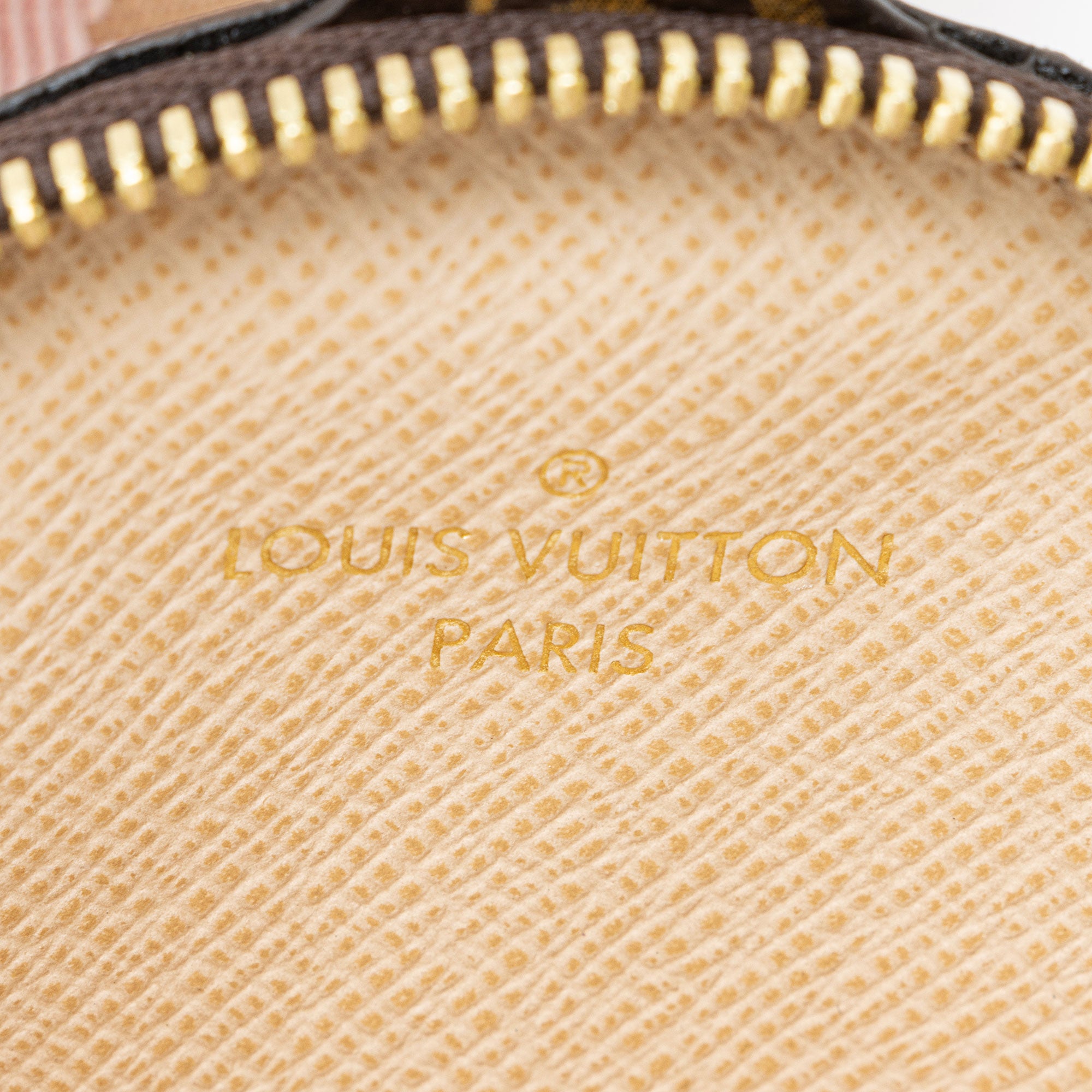 Louis Vuitton Monogram Canvas Multi-Pochette Accessoires