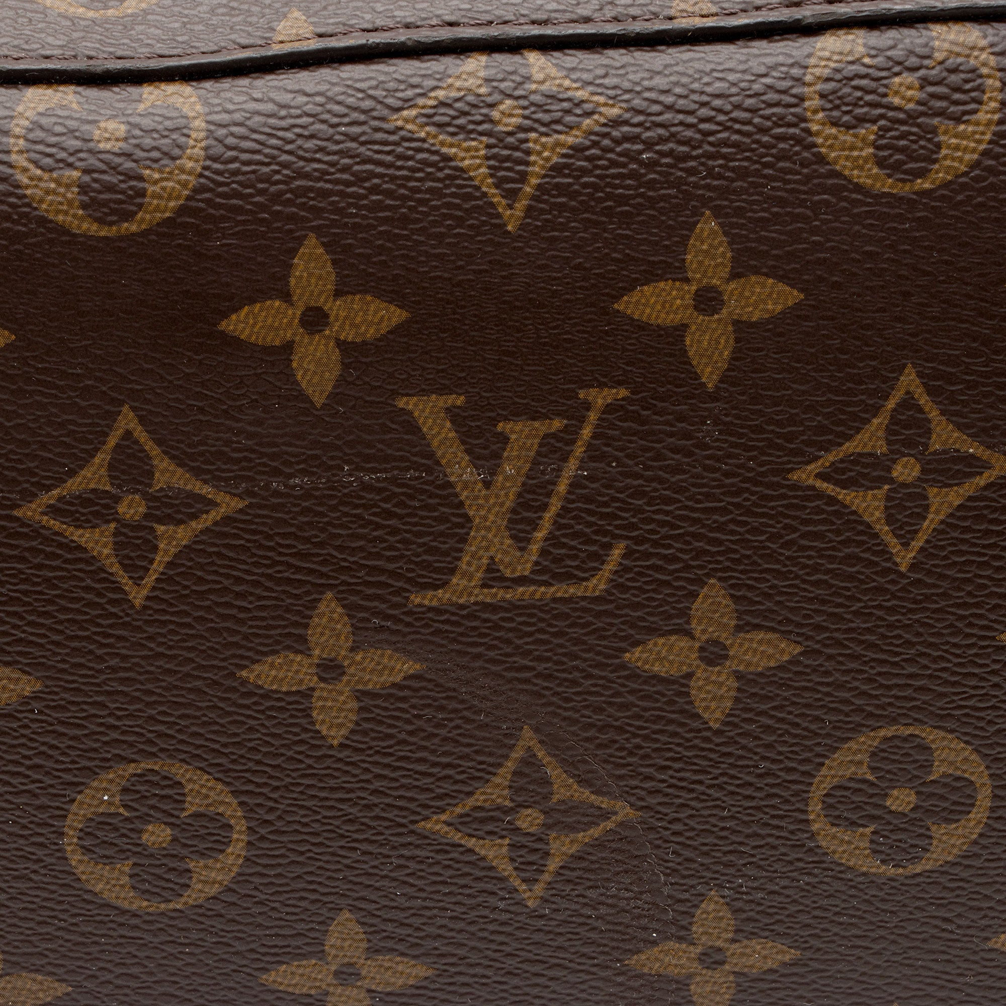 Louis Vuitton Monogram Canvas Neonoe Shoulder Bag (SHF-3Aiqhi)