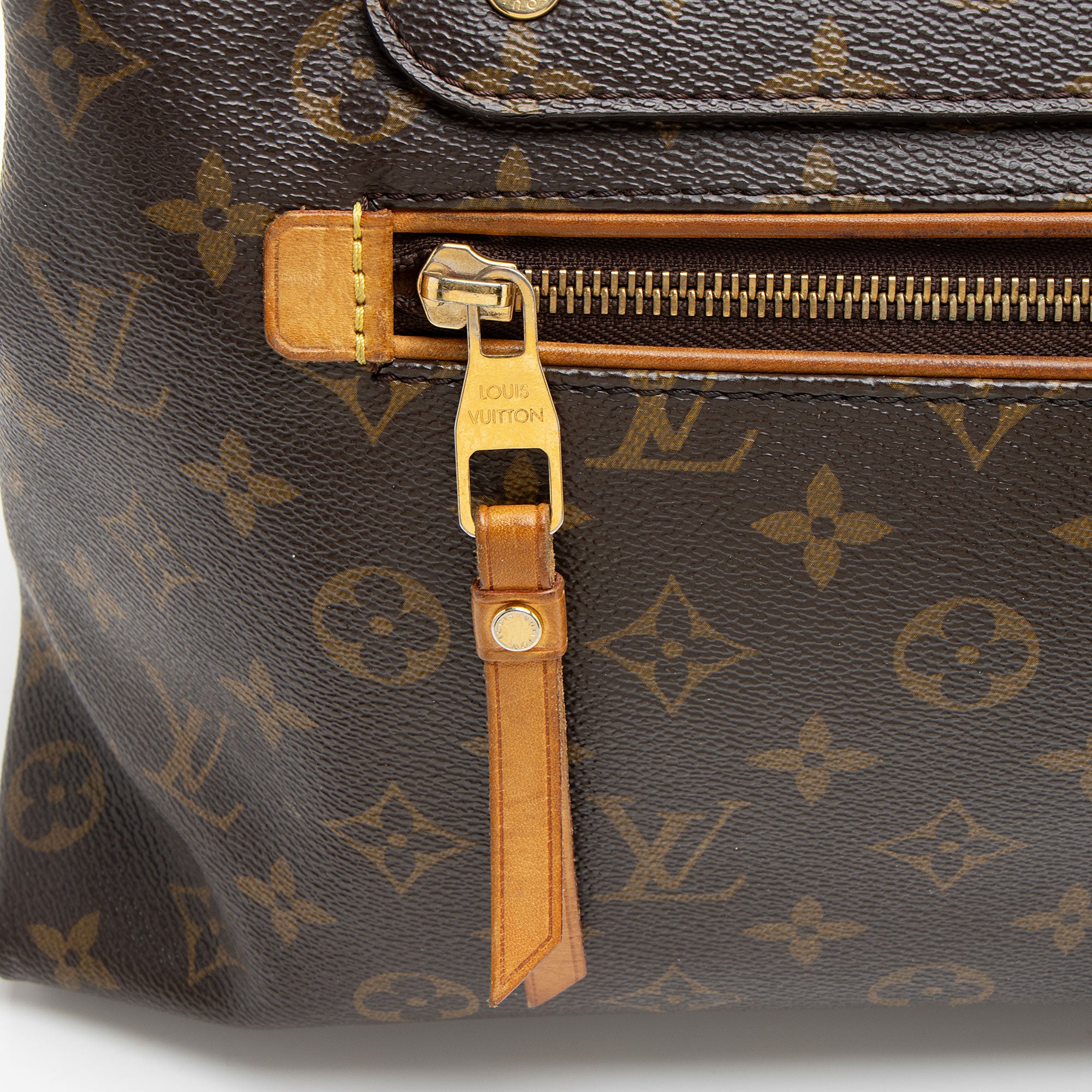 Louis Vuitton Monogram Canvas Olympe Bag