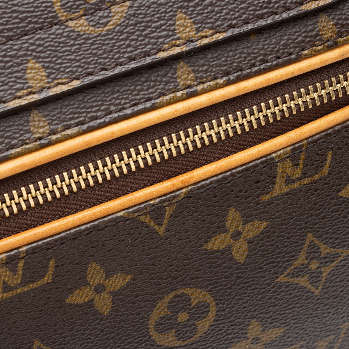 Louis Vuitton Monogram Canvas Olympe Bag