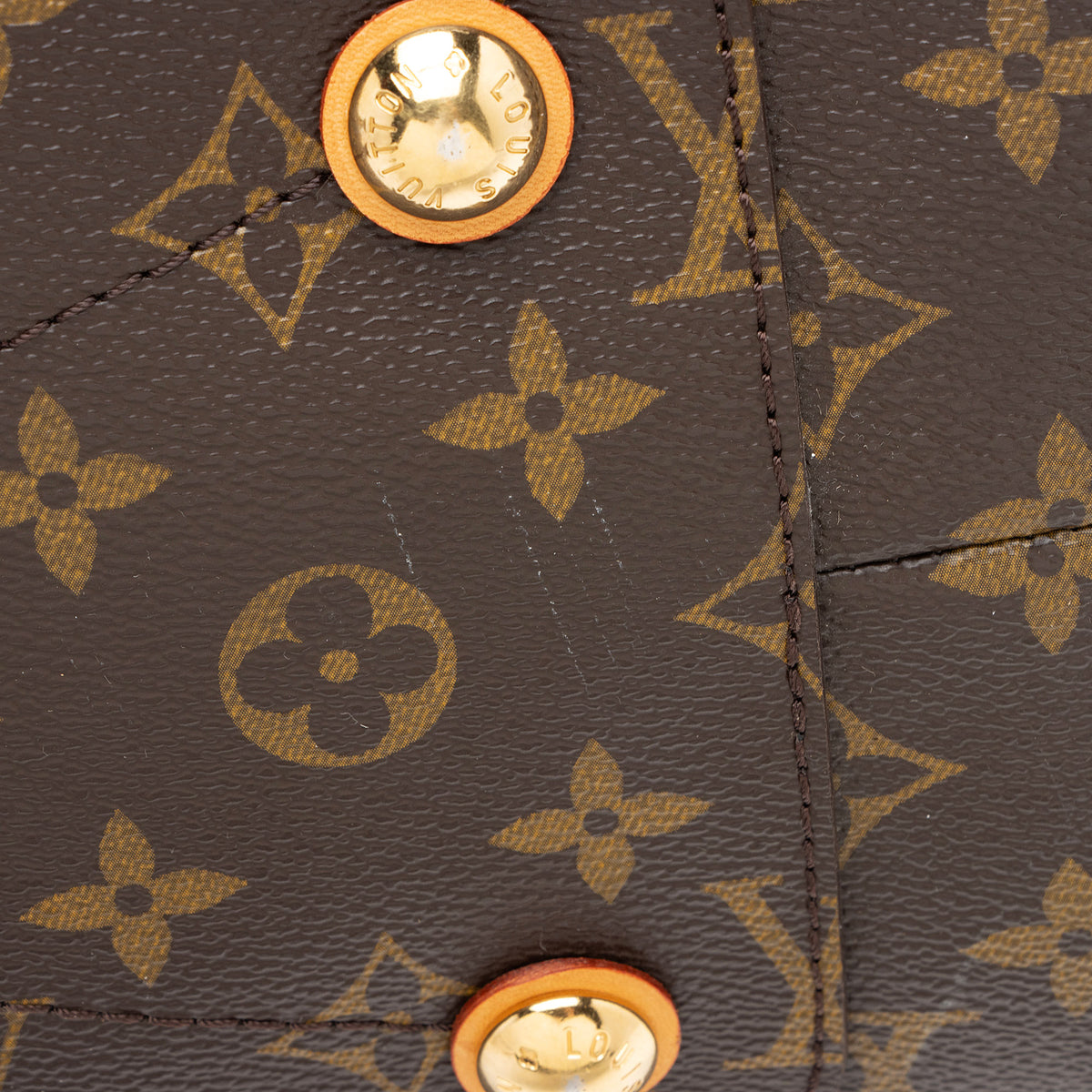 Louis Vuitton Monogram Canvas Olympe Bag