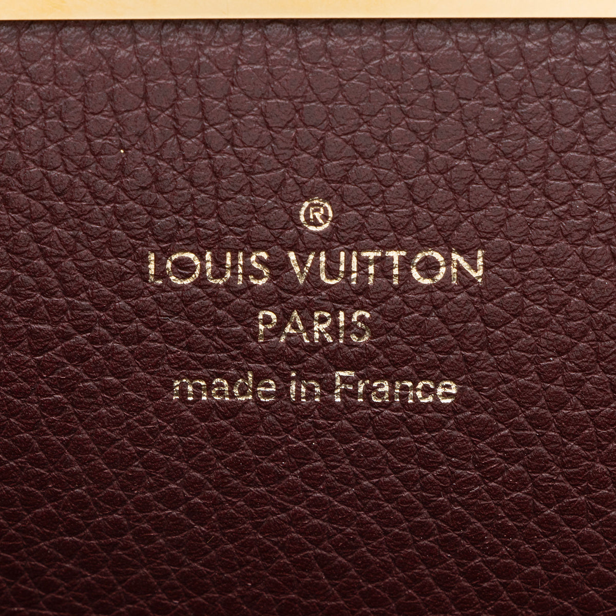 Louis Vuitton Monogram Canvas Olympe Bag