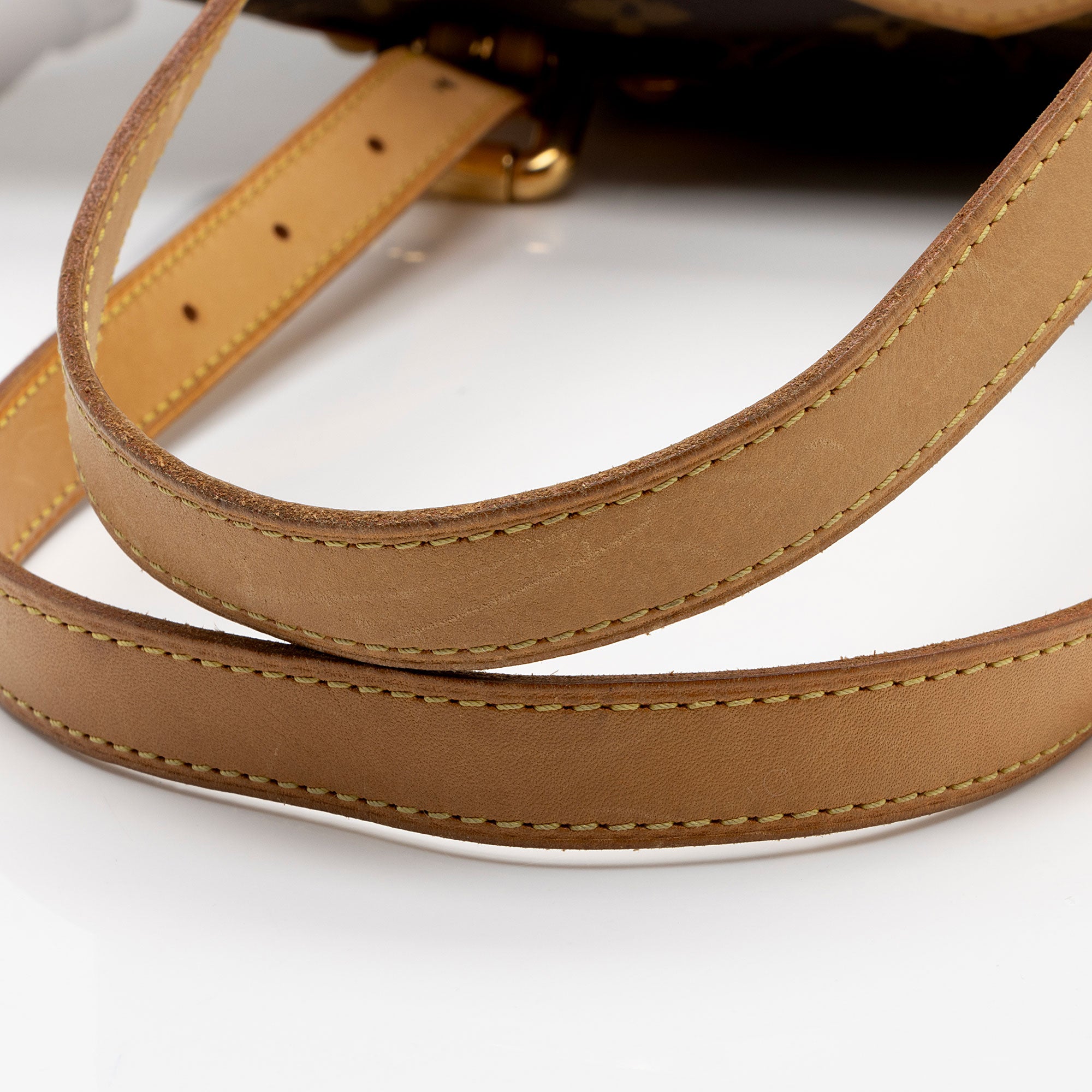 Louis Vuitton Monogram Canvas Palermo GM Tote (SHF-gdilMS)