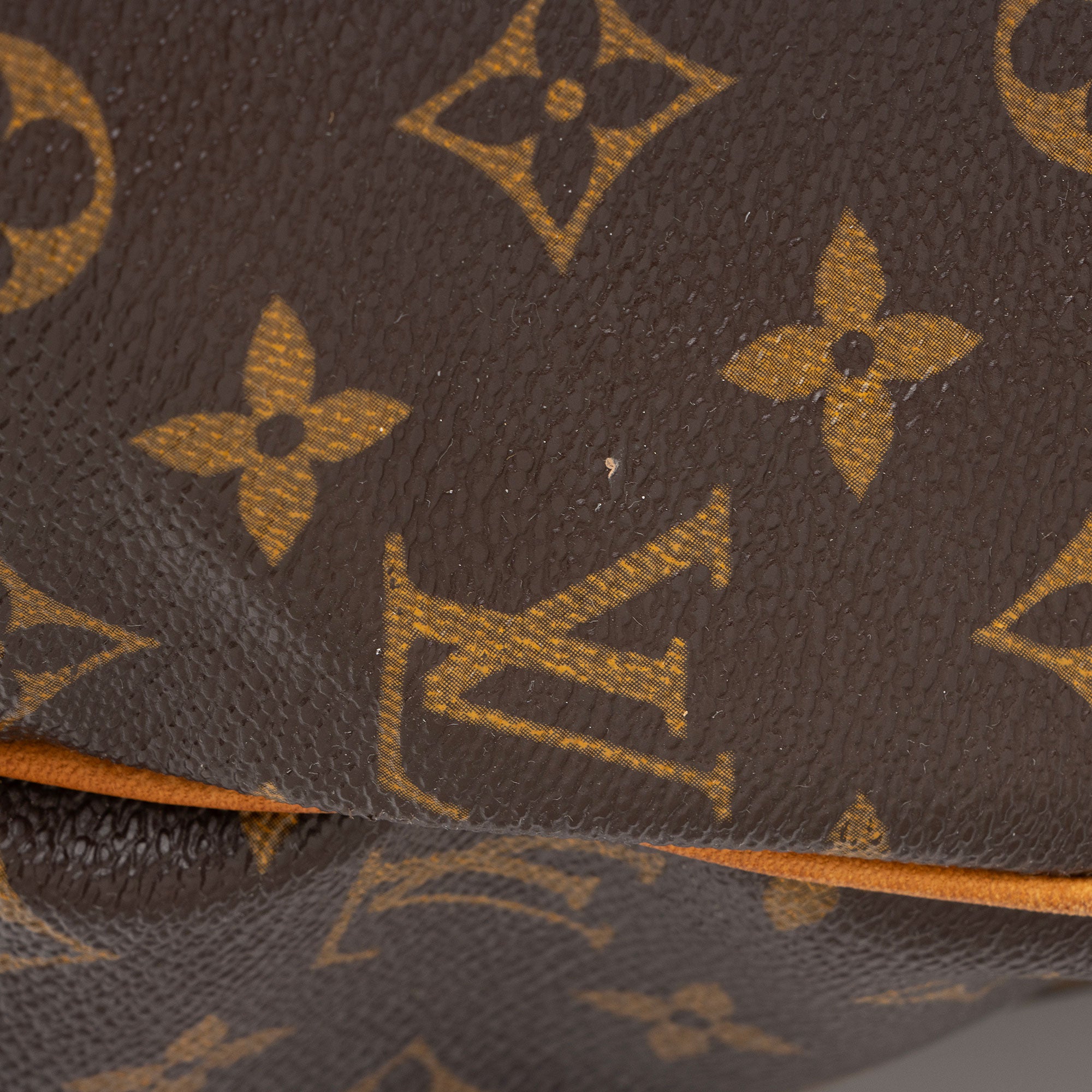 Louis Vuitton Monogram Canvas Palermo GM Tote