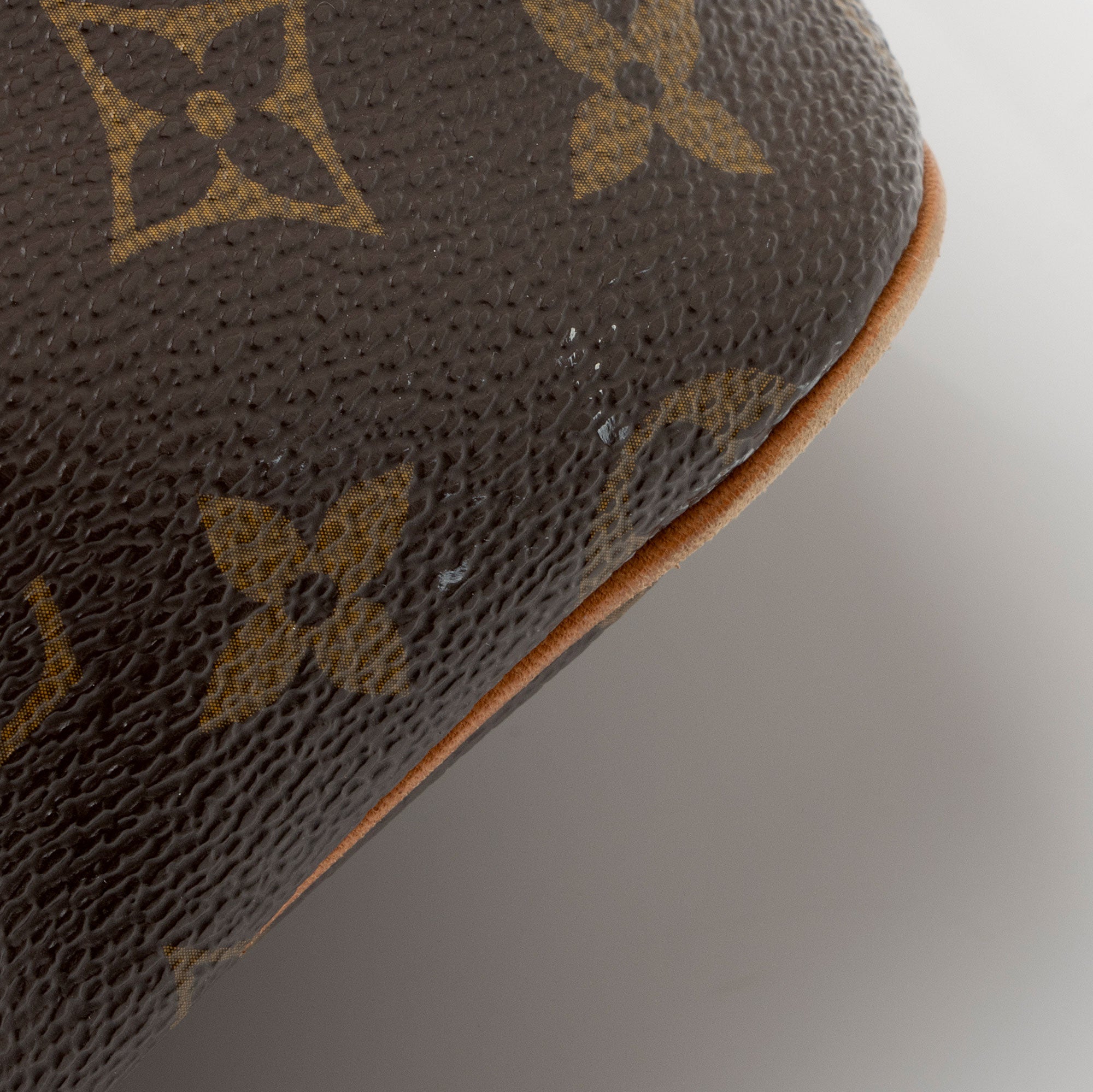 Louis Vuitton Monogram Canvas Palermo PM Tote (SHF-sLVgIT)