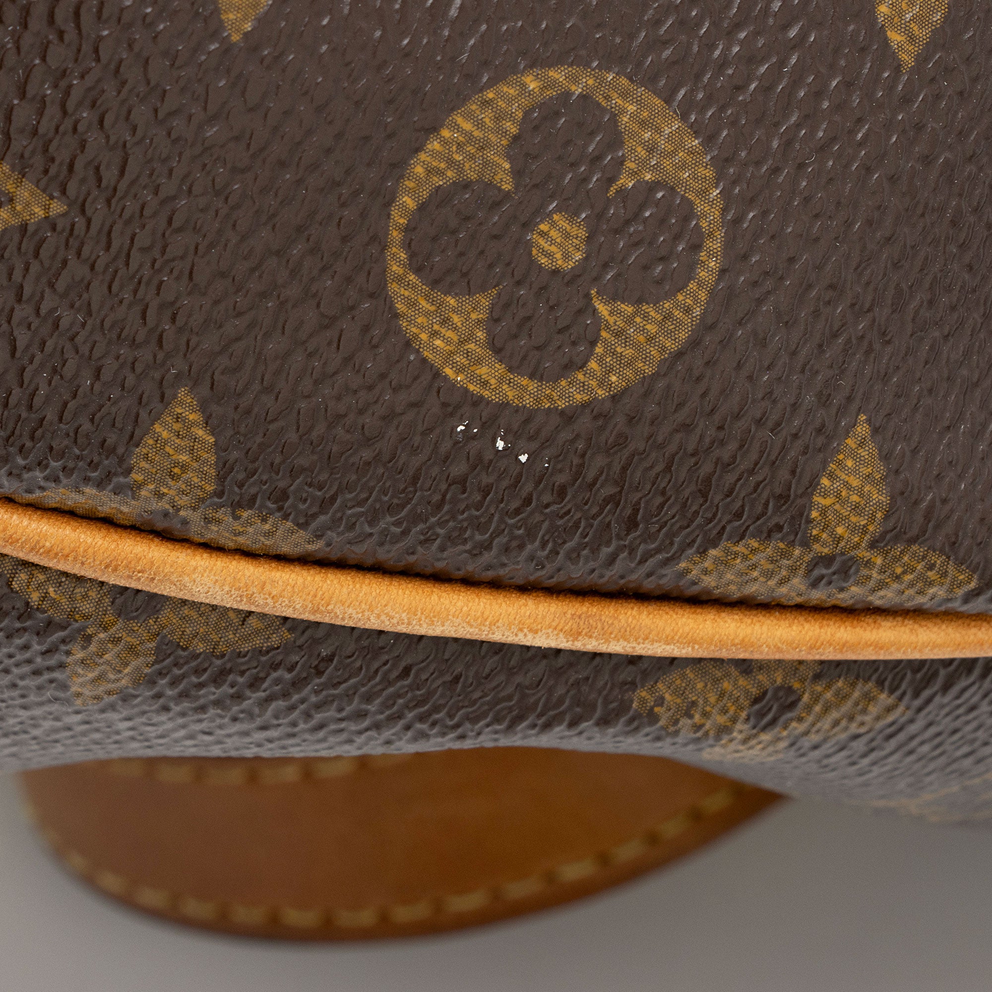 Louis Vuitton Monogram Canvas Palermo PM Tote (SHF-n5CXbl)
